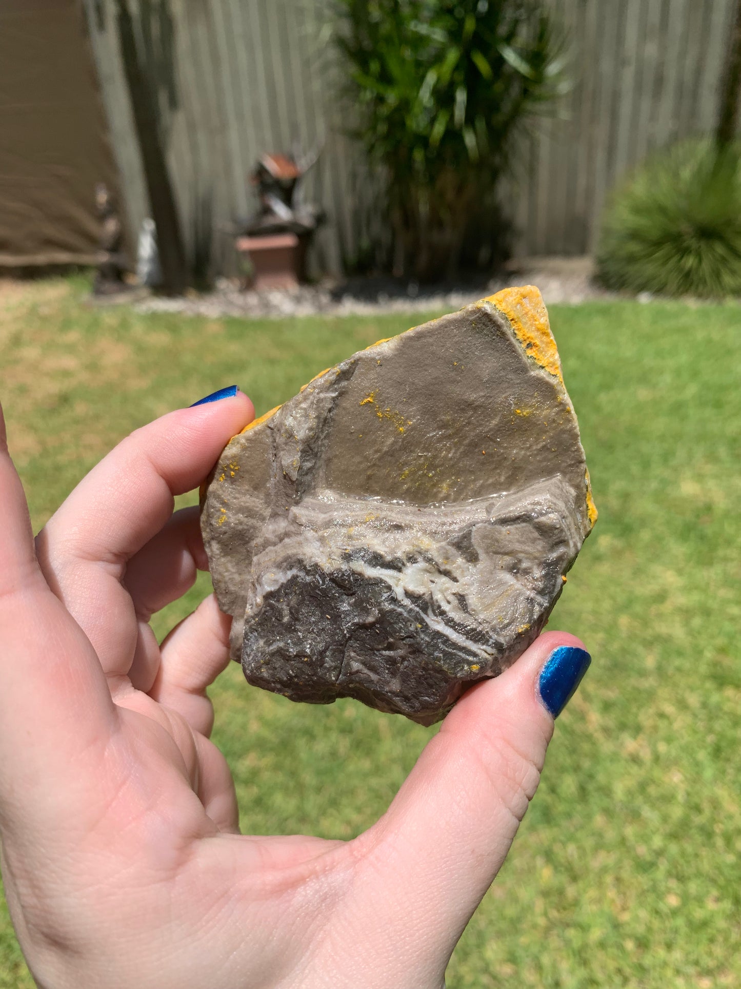 Bumblebee Jasper Slab