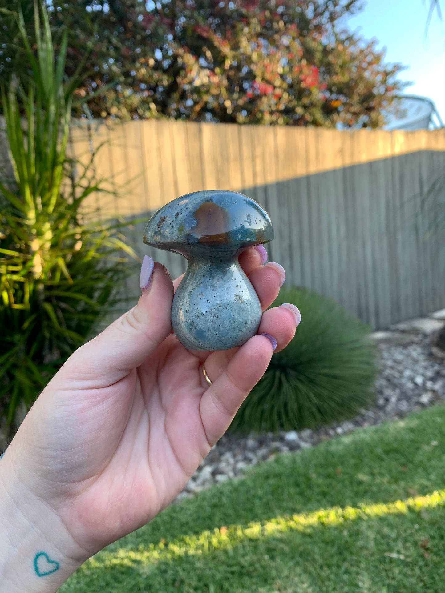 Ocean Jasper Mushroom