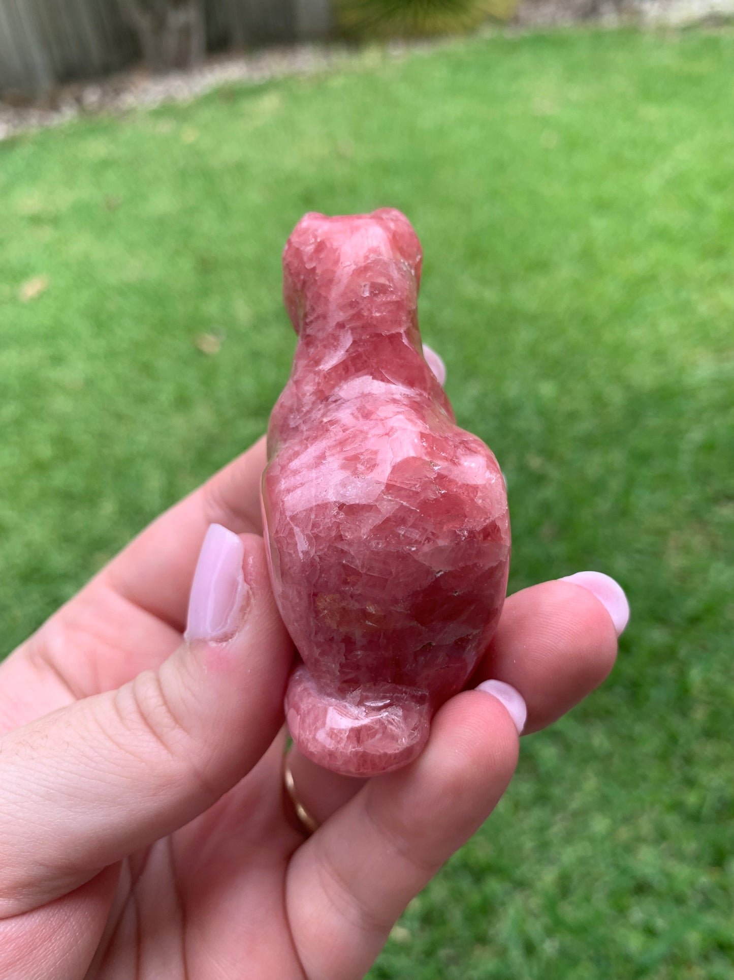 Gemmy Rhodochrosite Cat