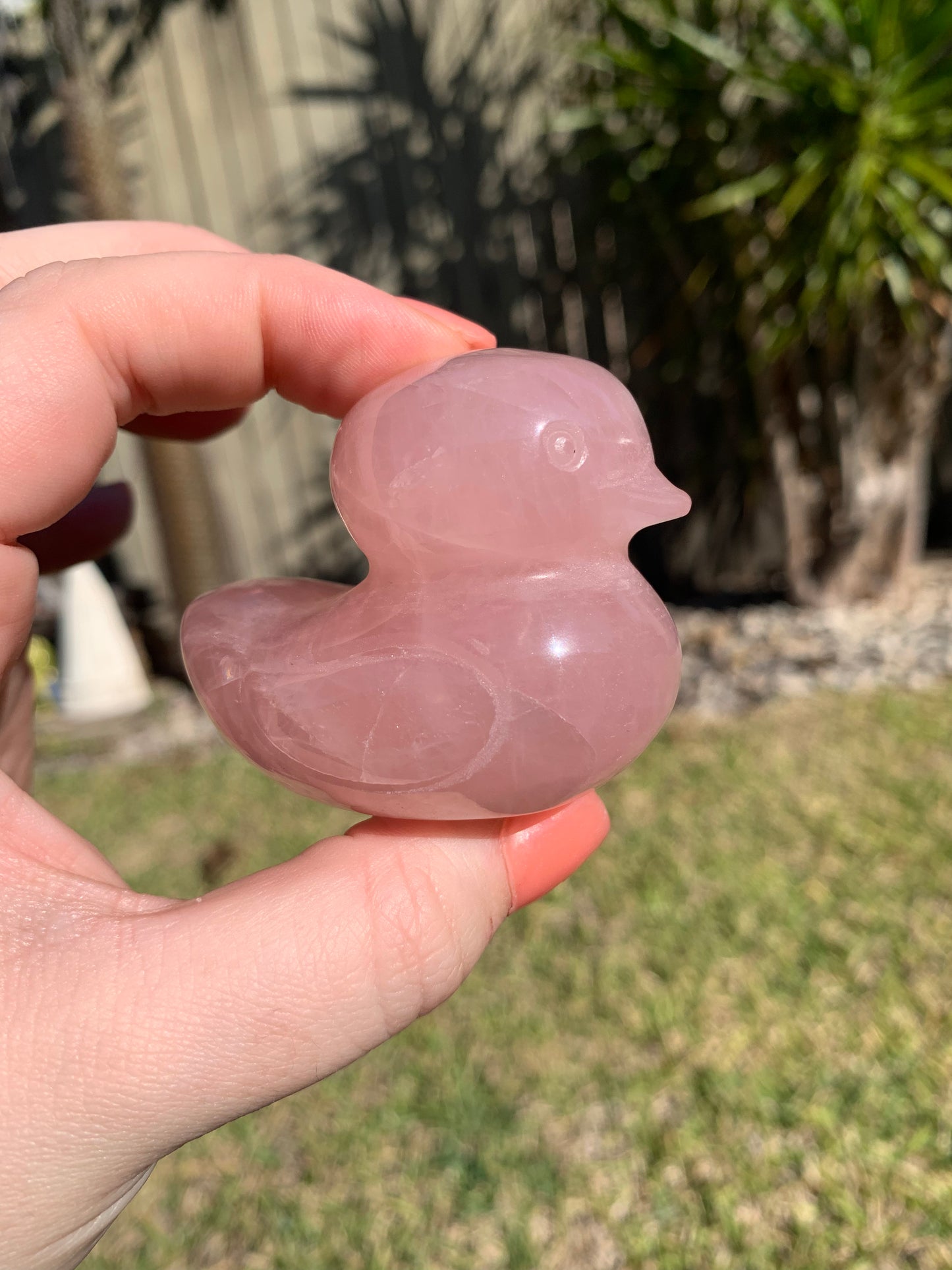 Rose Quartz Duck