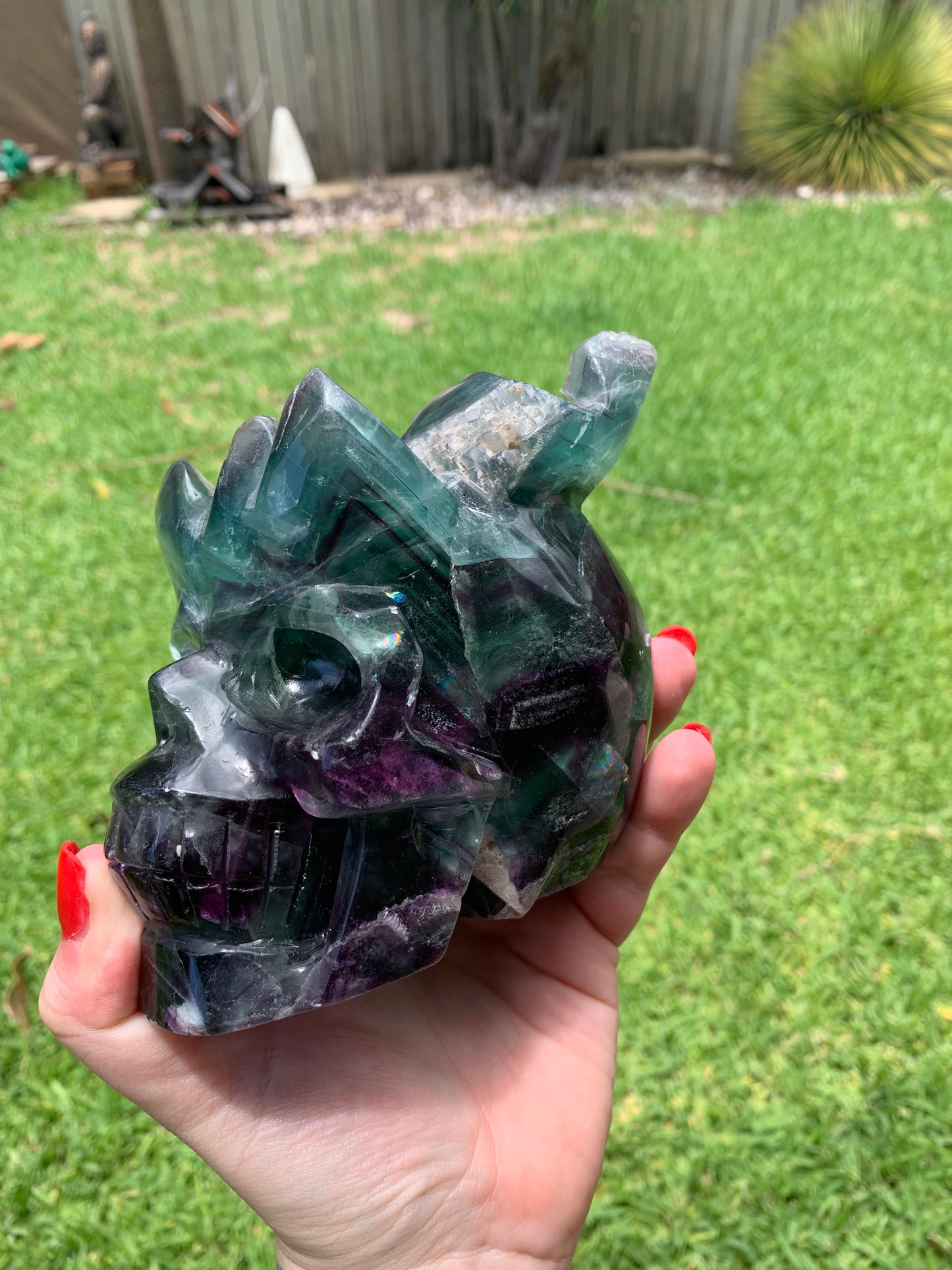 Fluorite Skull