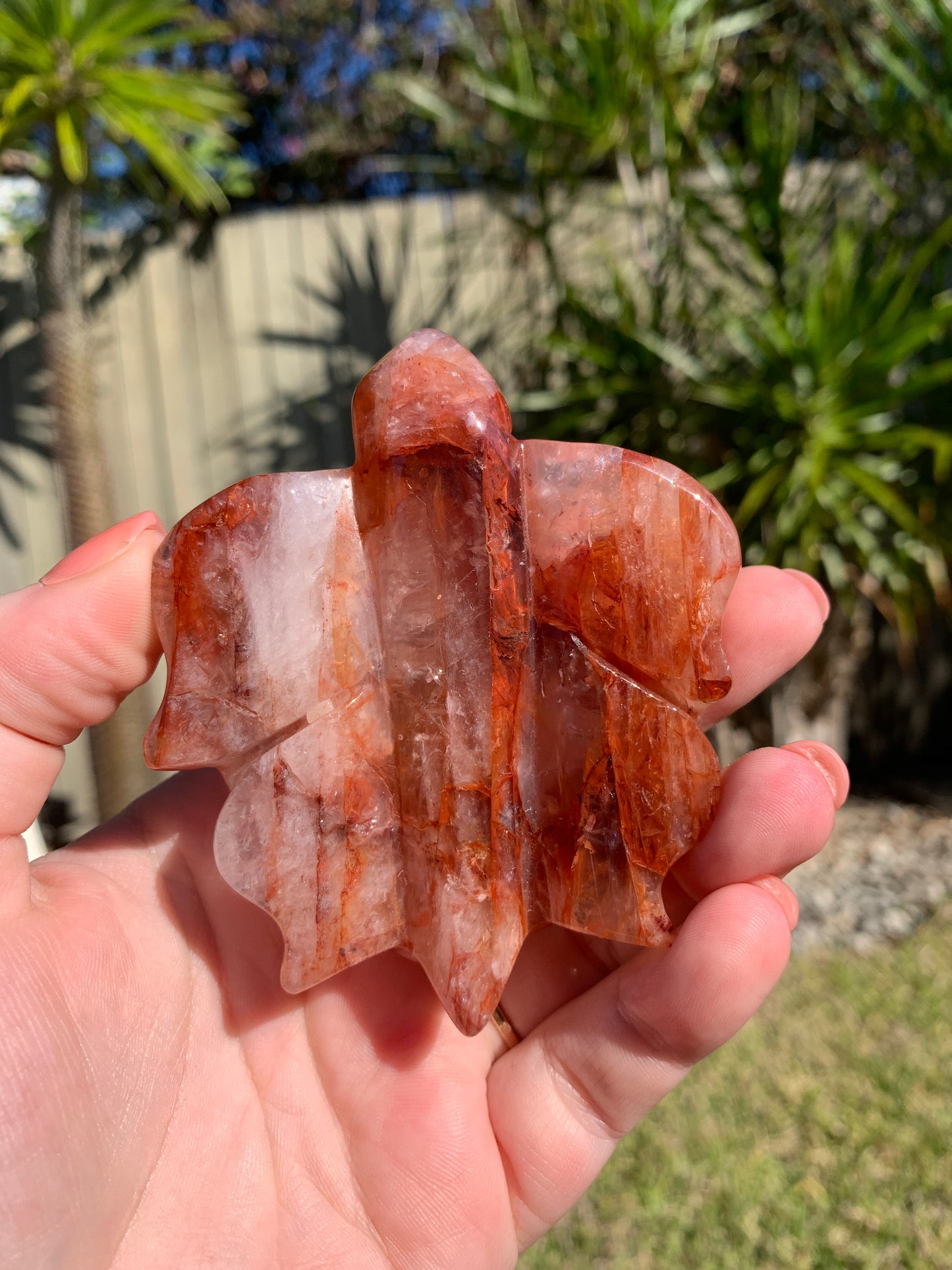 Fire Quartz Turtle