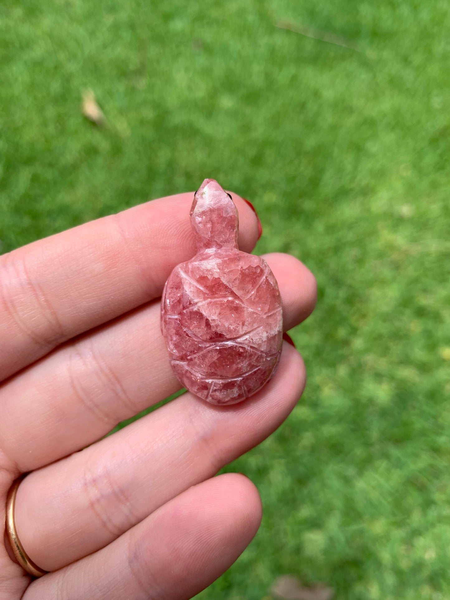 Gemmy Rhodochrosite Turtle