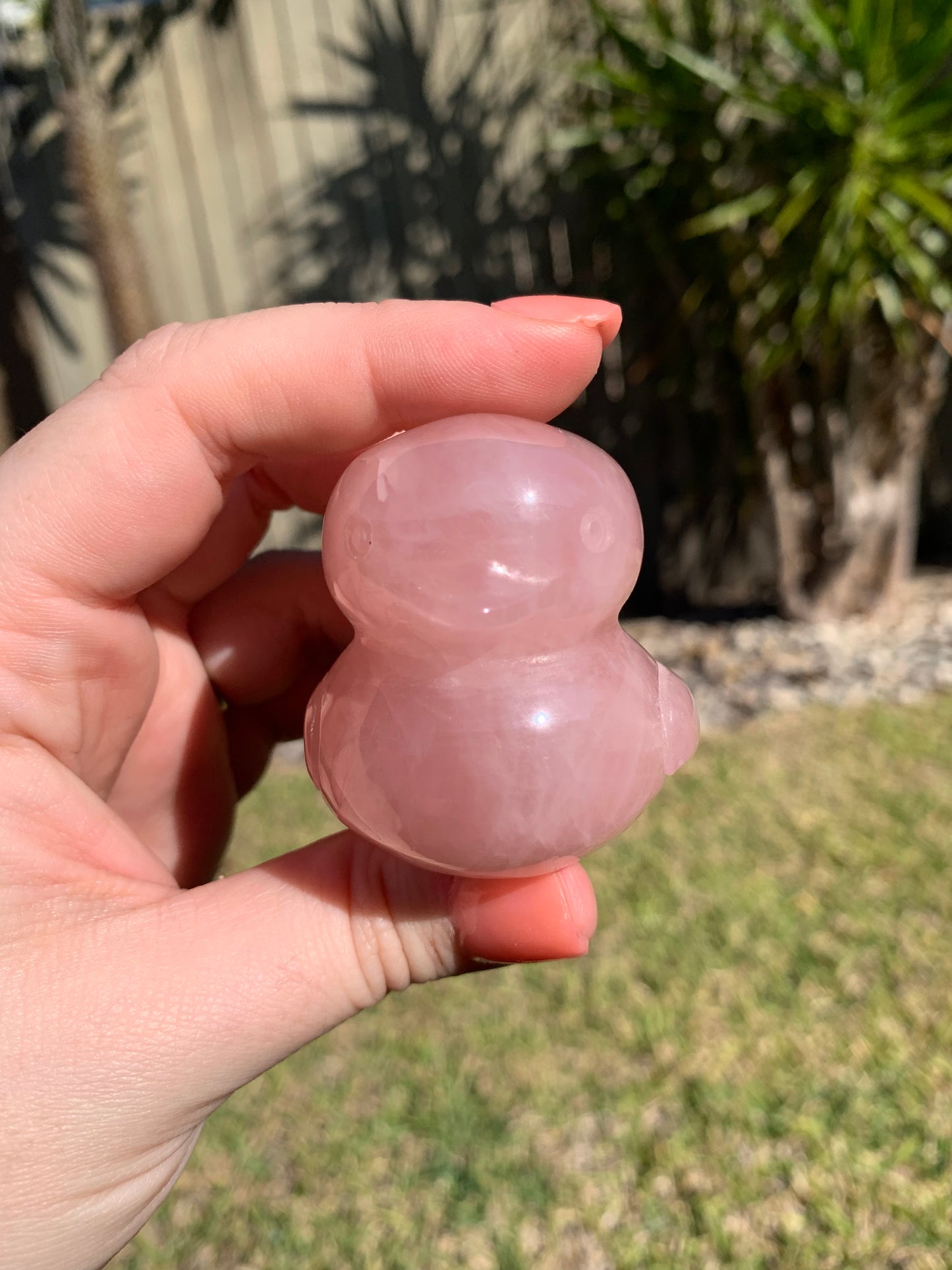 Rose Quartz Duck