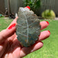 Moss Agate Leaf