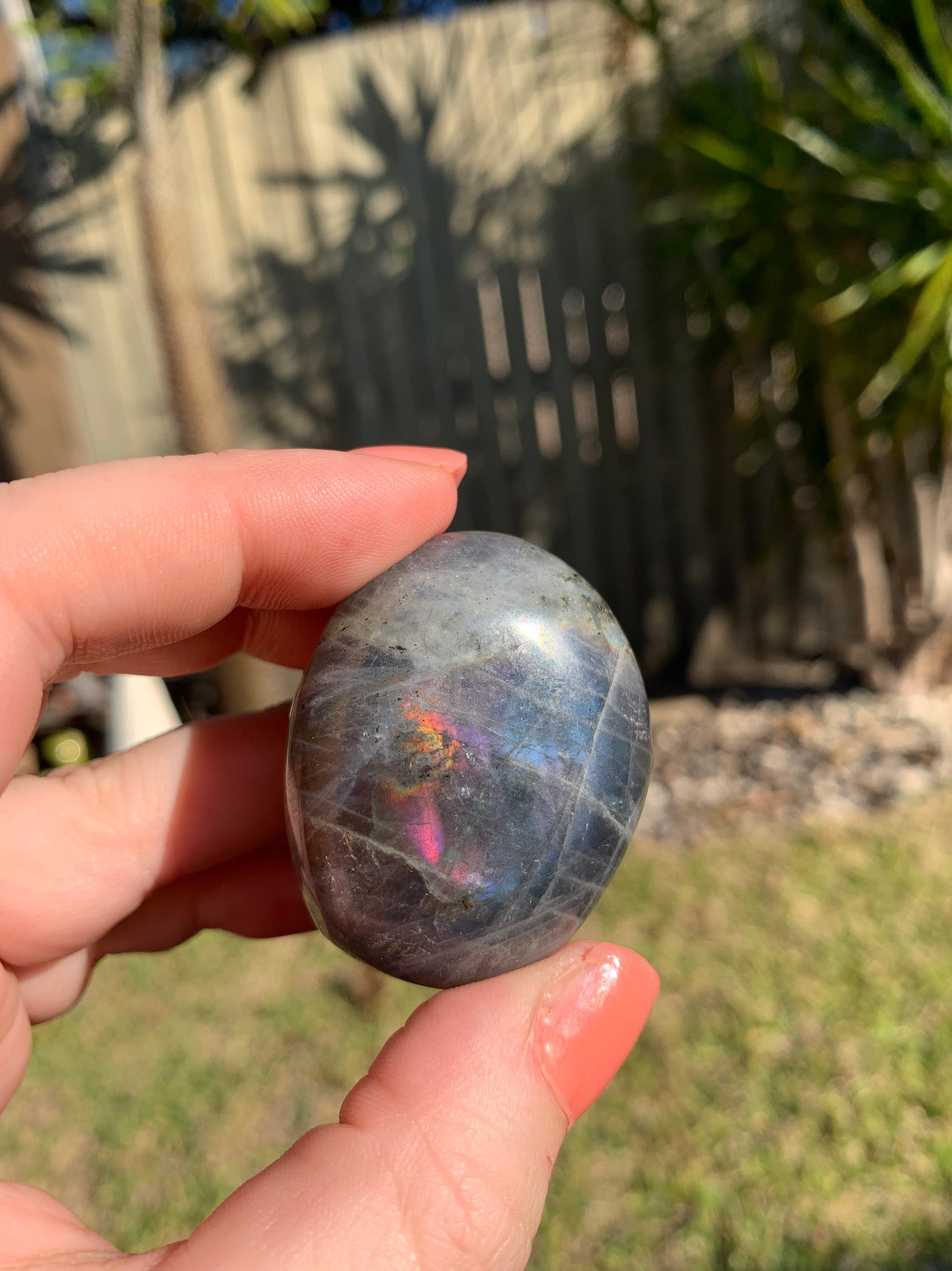 Labradorite Palmstone