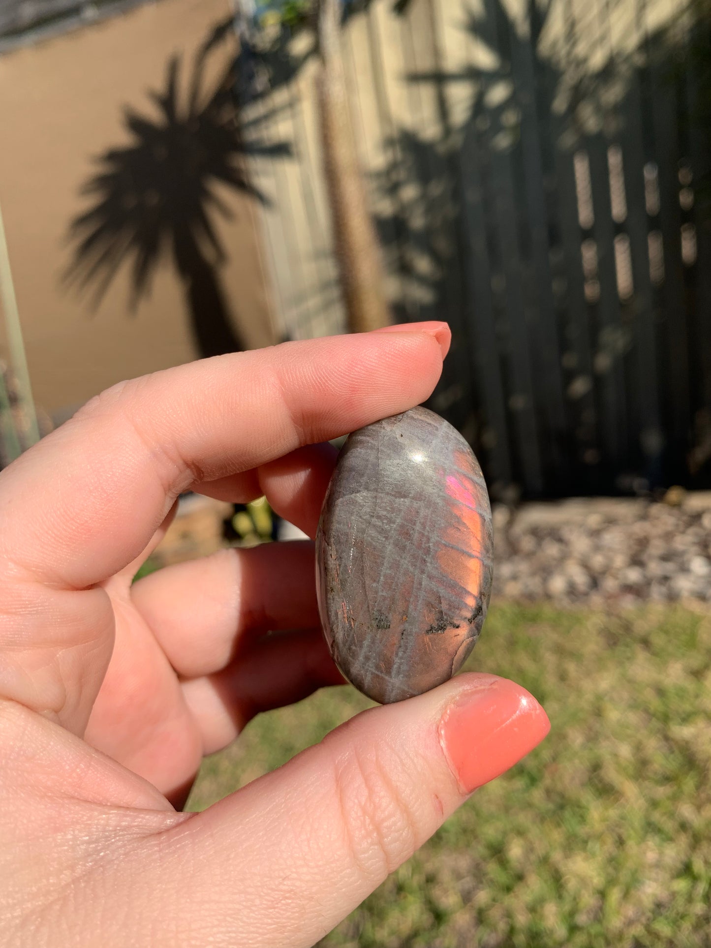 Labradorite Palmstone