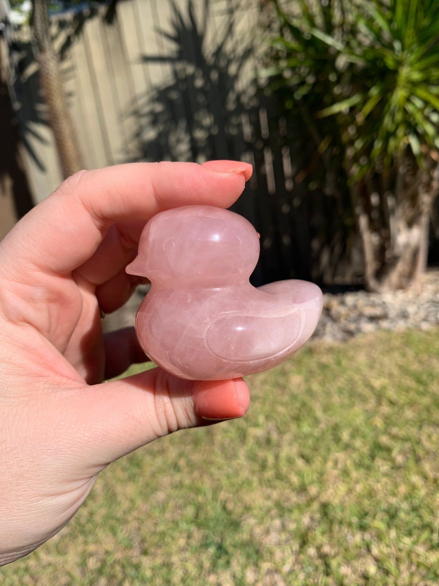 Rose Quartz Duck