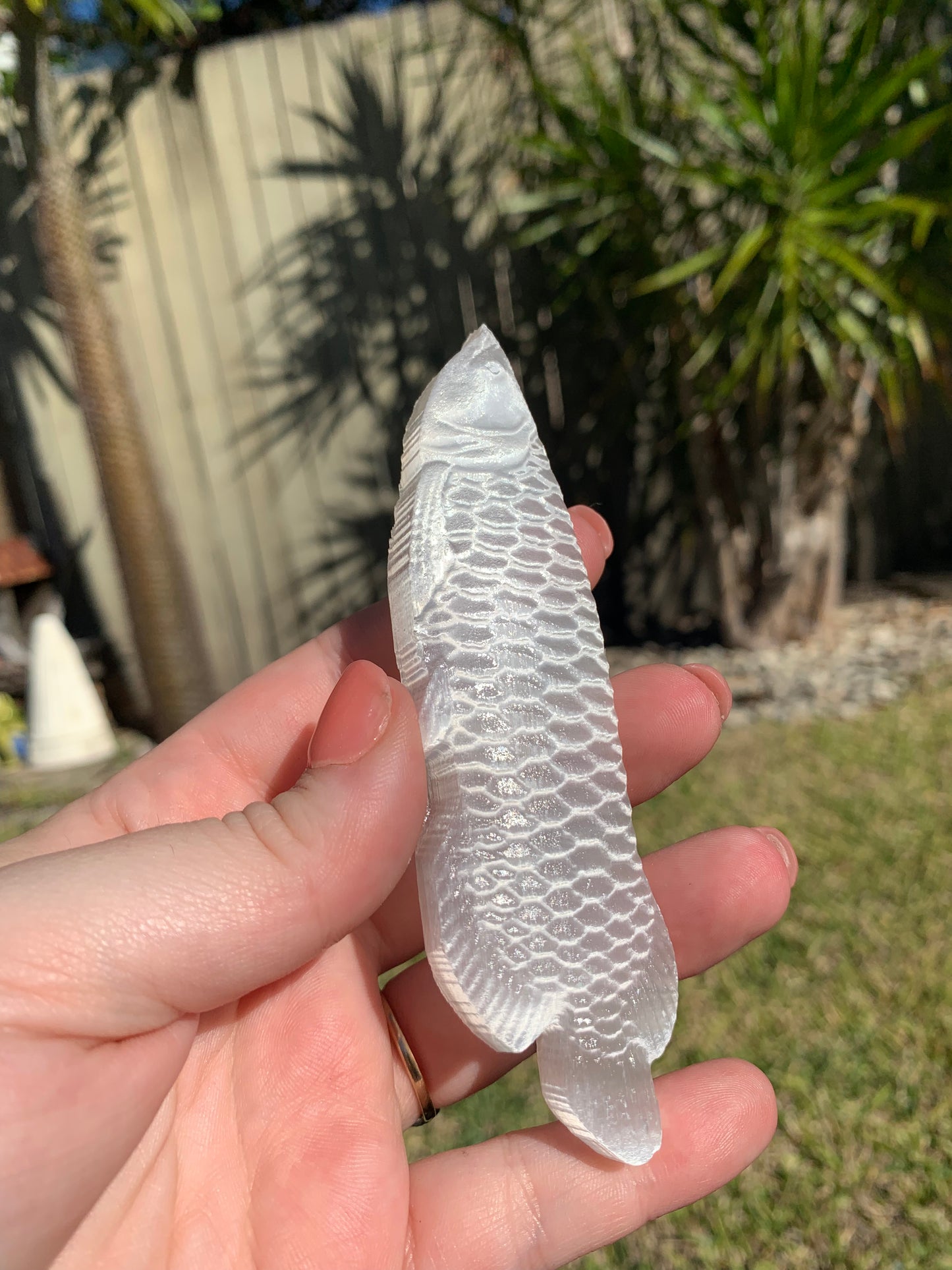 Selenite Fish