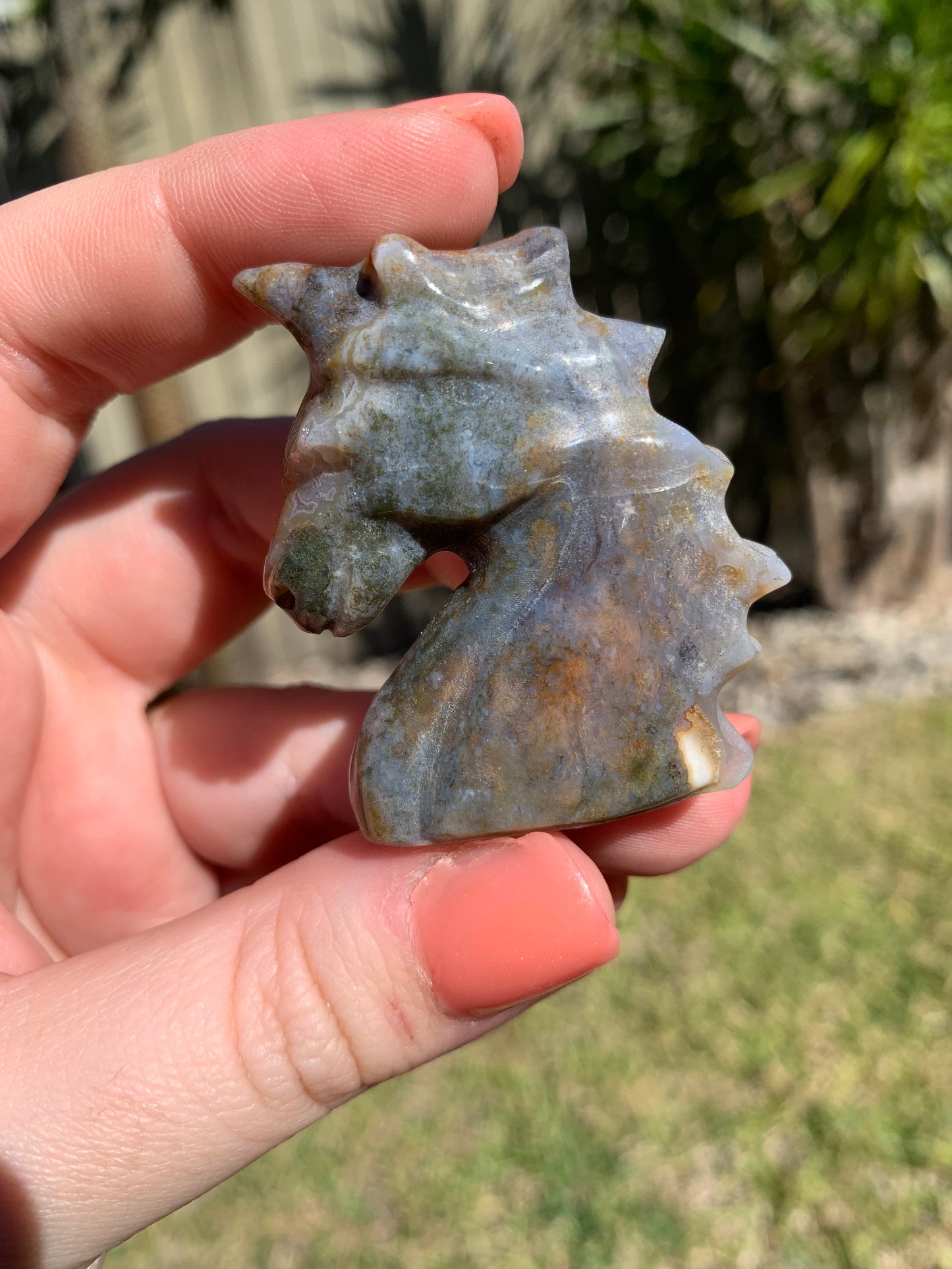 Ocean Jasper Unicorn