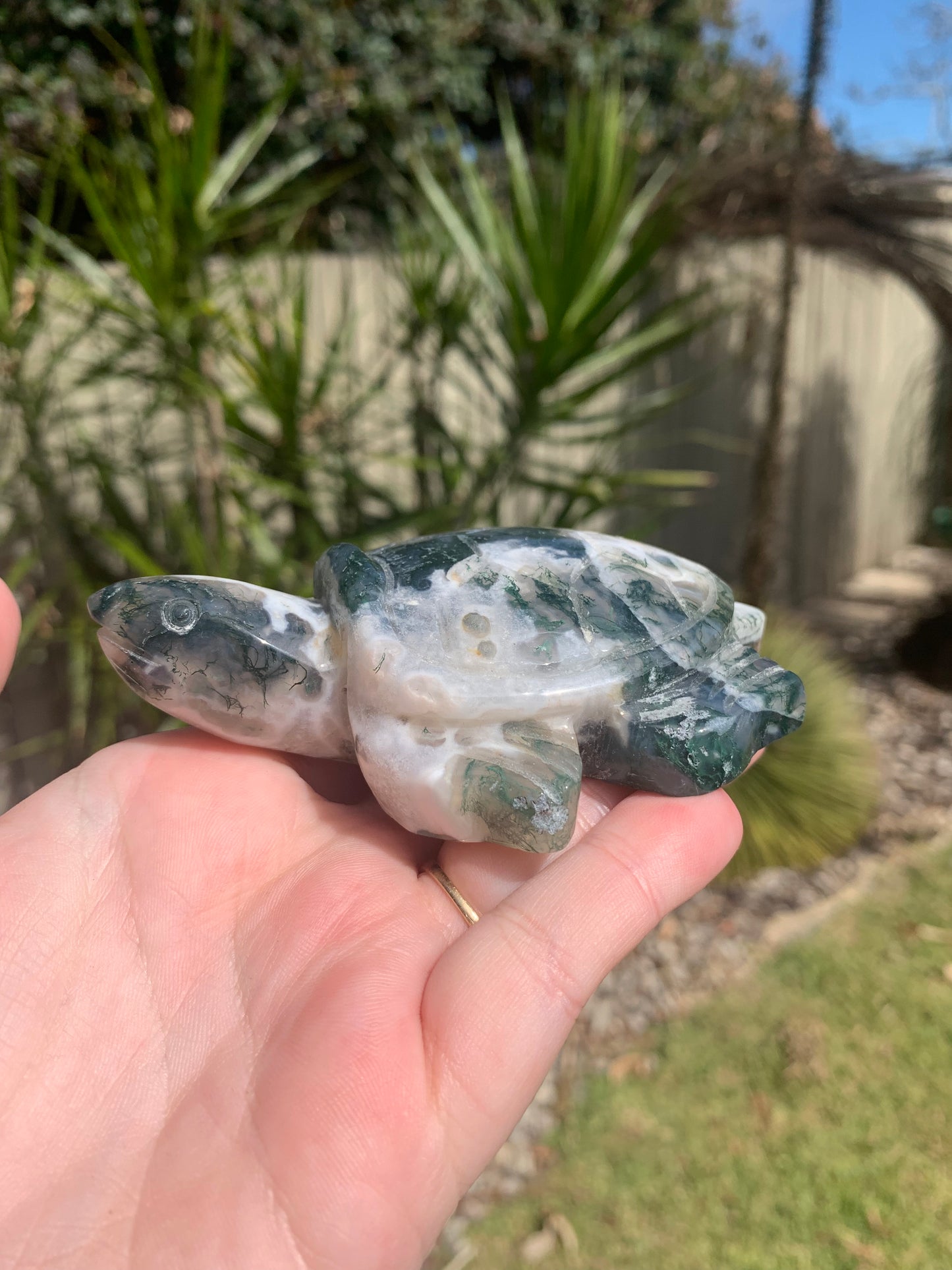 Moss Agate Turtle