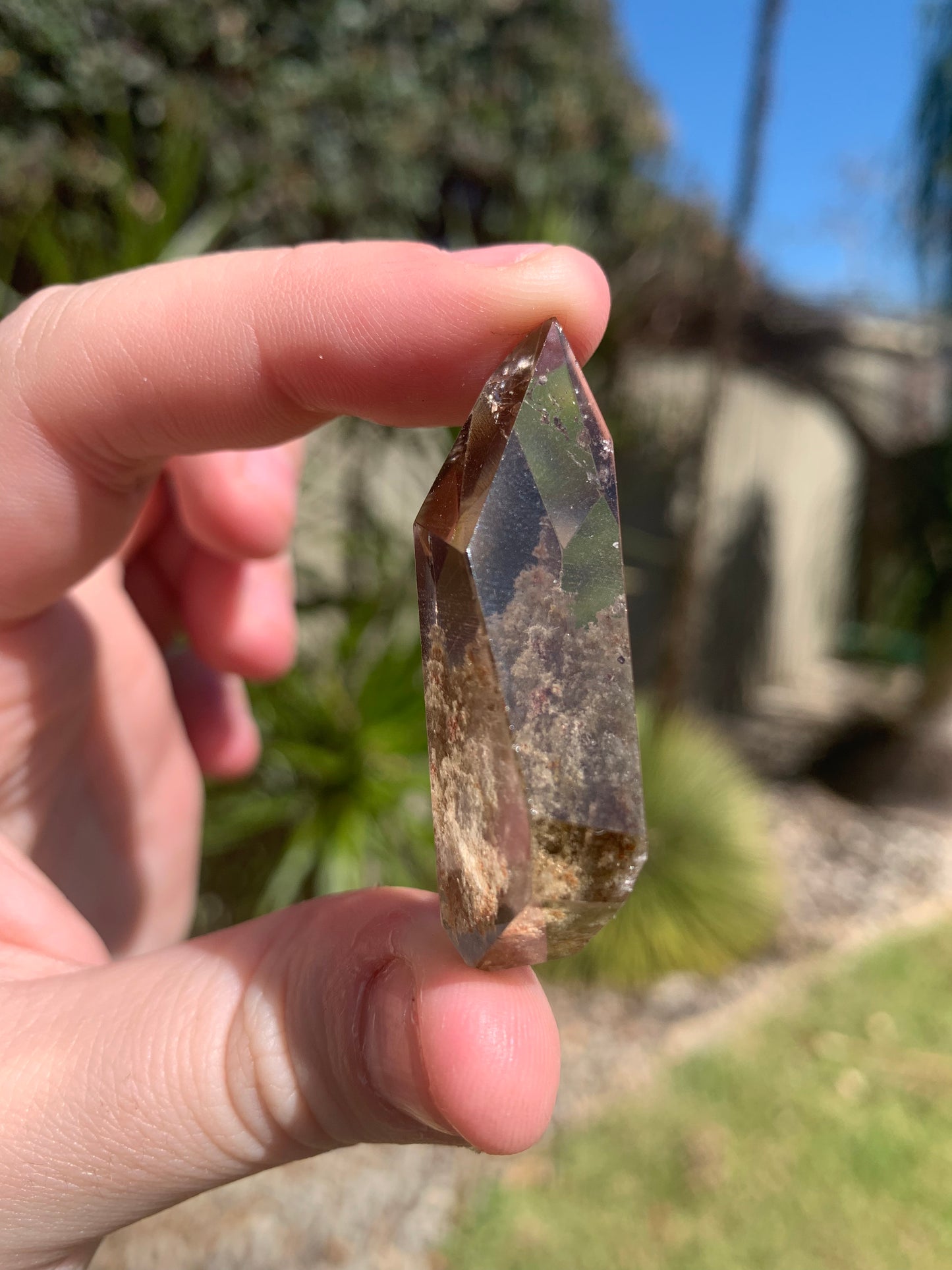 Garden in Smokey Quartz with Rutile inclusions Freeform