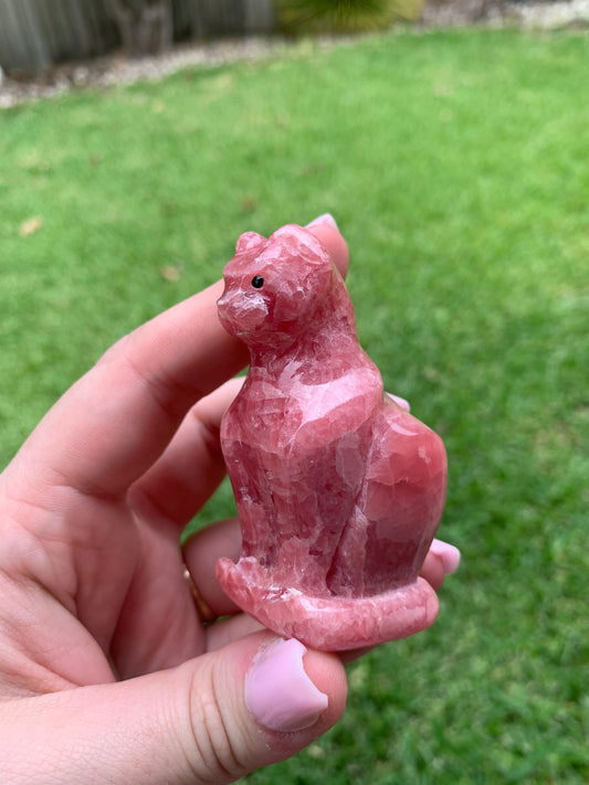 Gemmy Rhodochrosite Cat