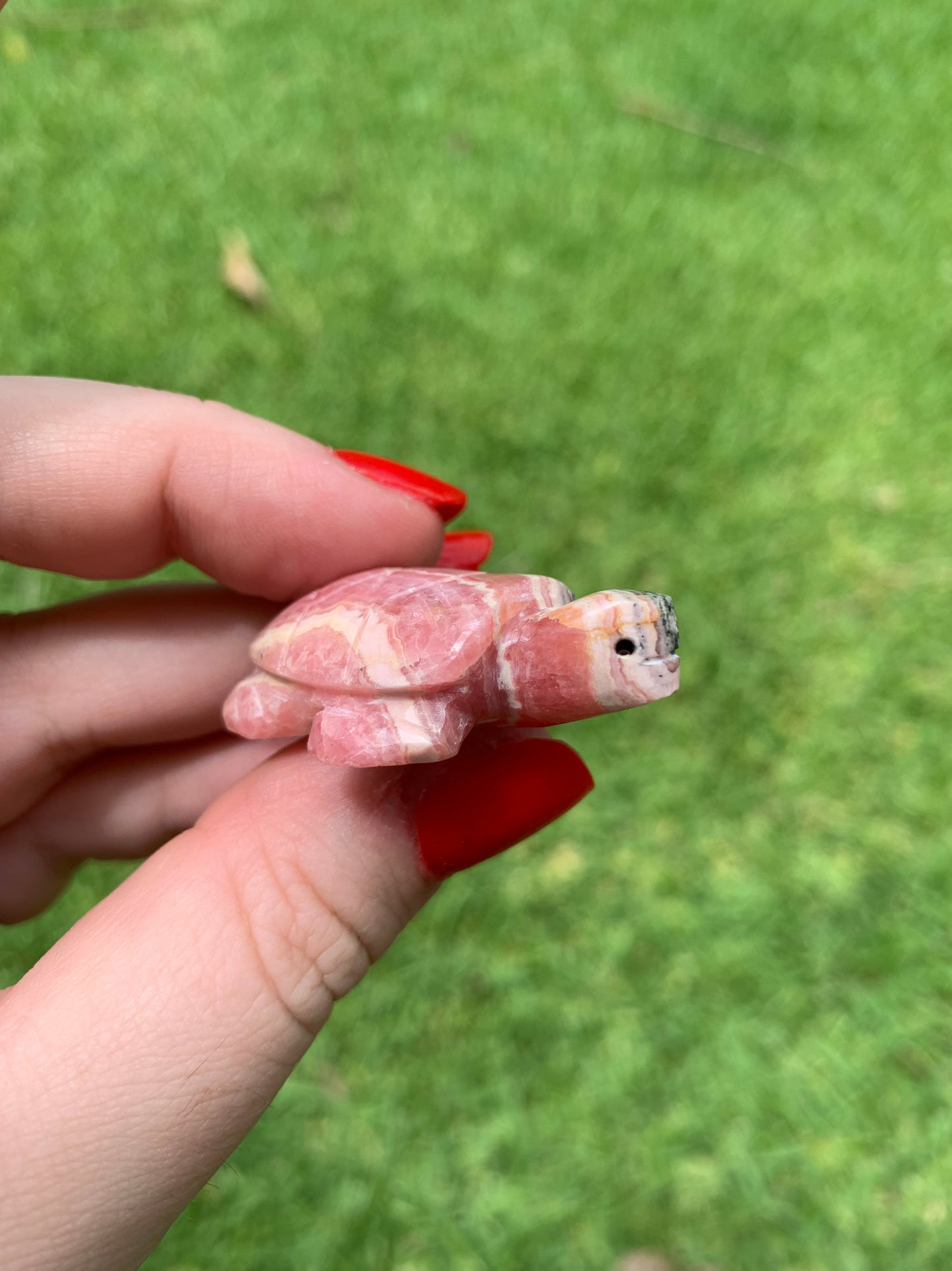 Rhodochrosite Turtle