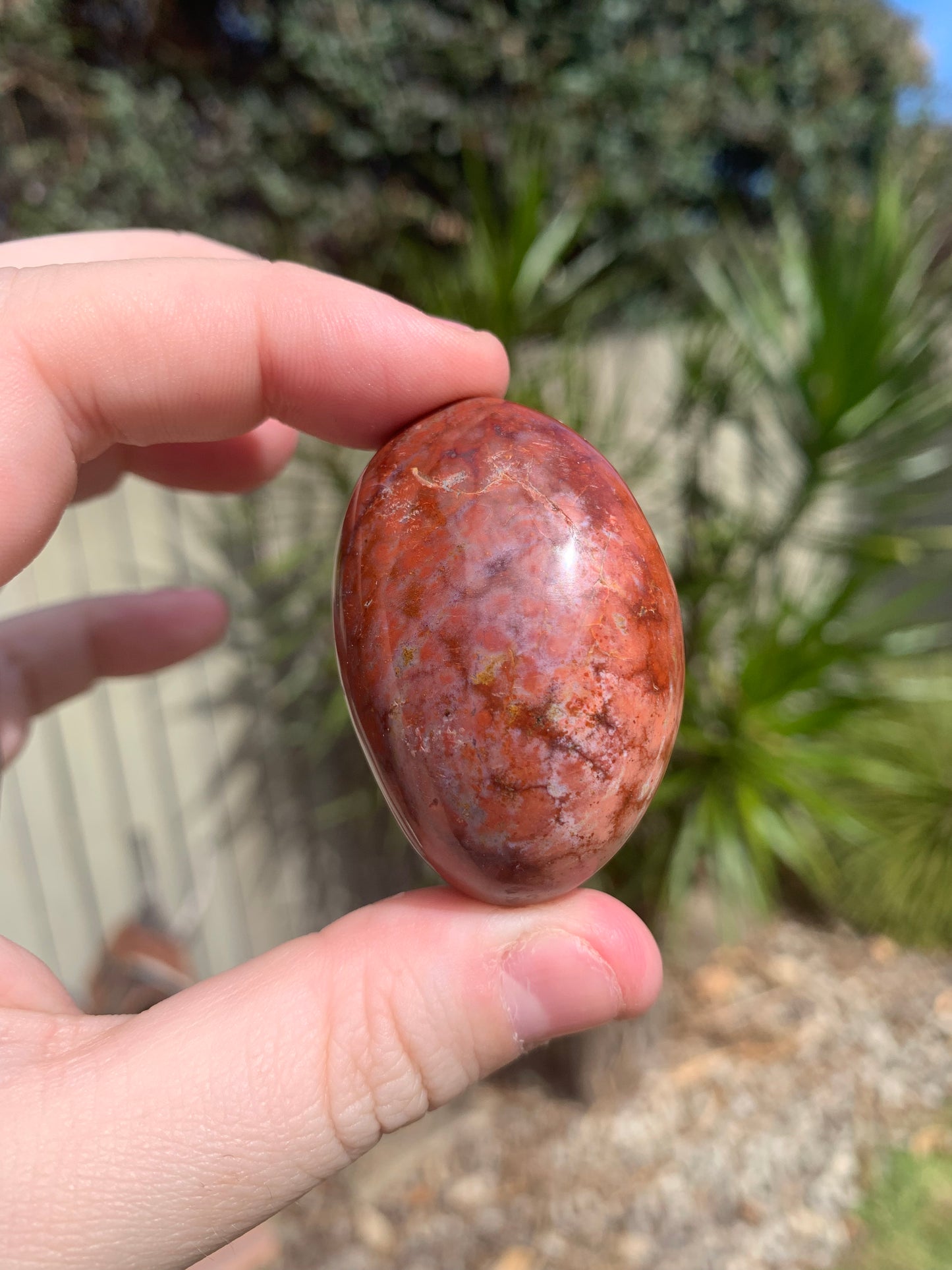 Ocean Jasper Palm