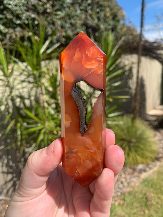 Carnelian DTs