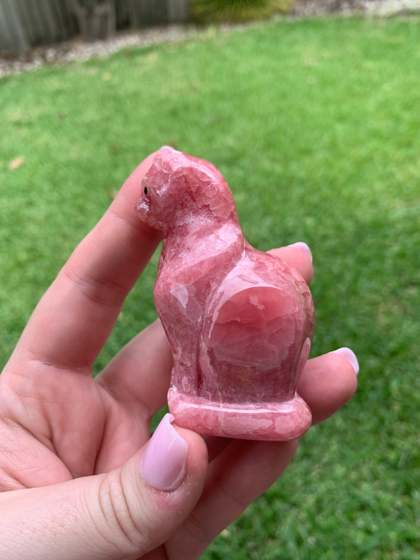 Gemmy Rhodochrosite Cat