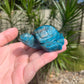 Blue Apatite Turtle