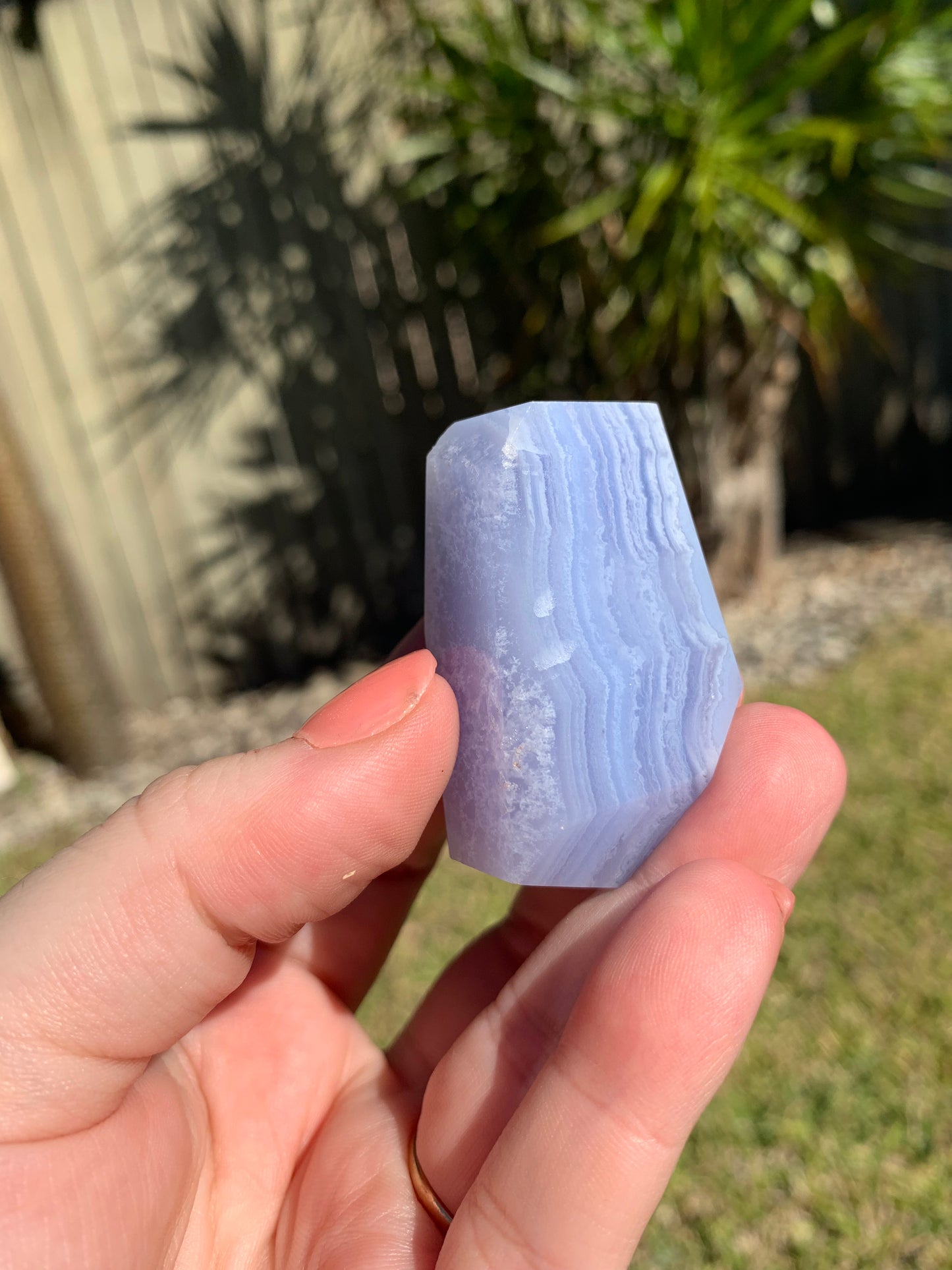 Blue Lace Agate Freeform