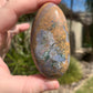 Ocean Jasper Palm