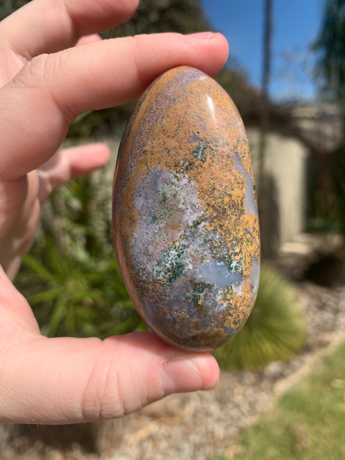 Ocean Jasper Palm