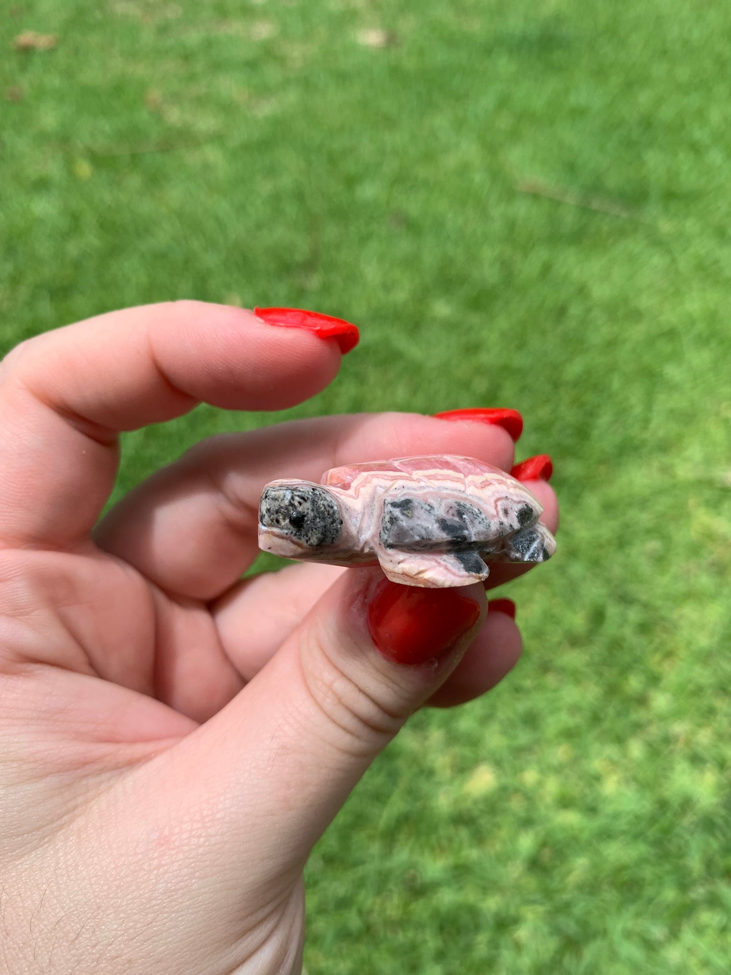 Rhodochrosite Turtle