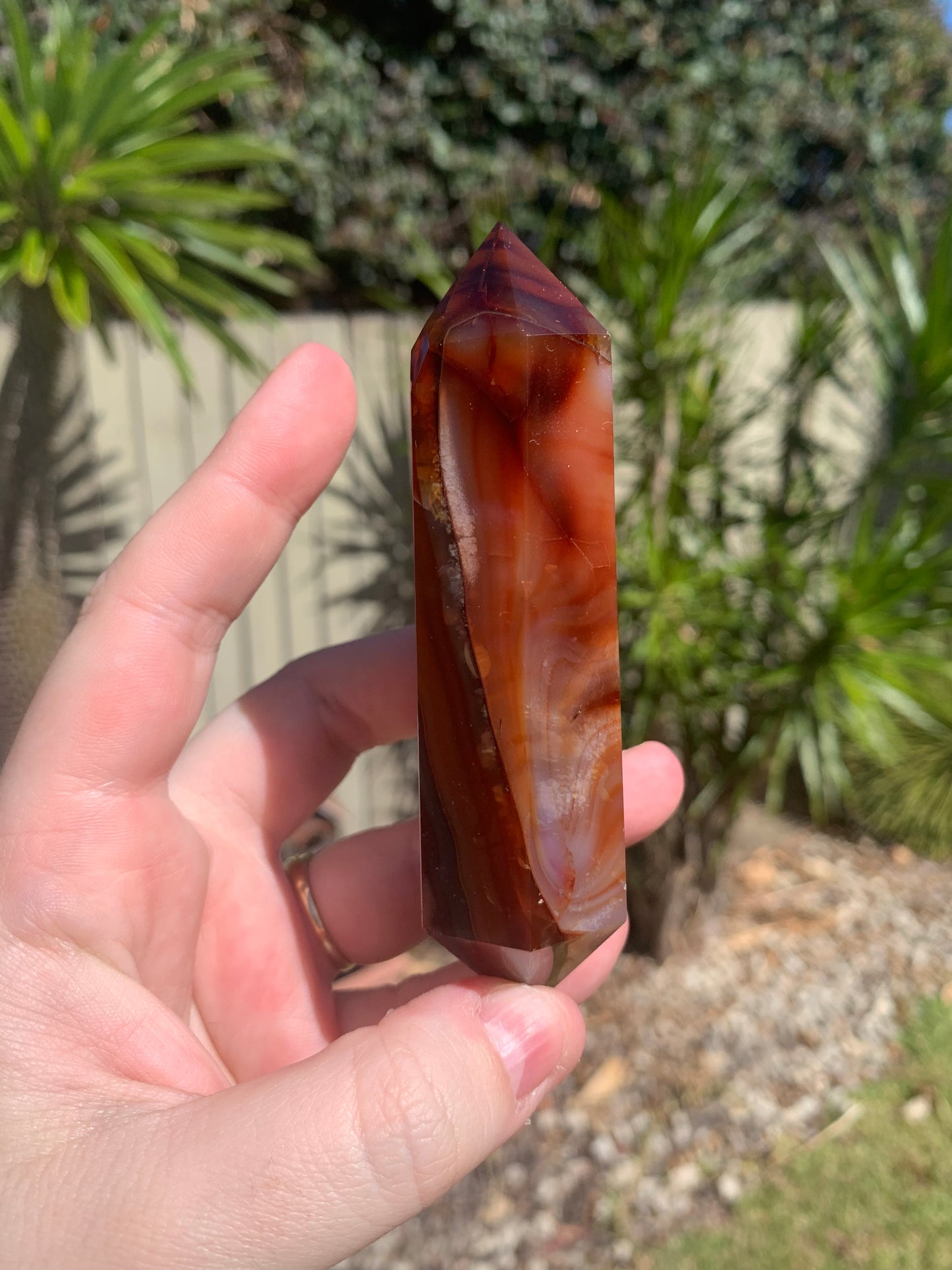 Carnelian DTs