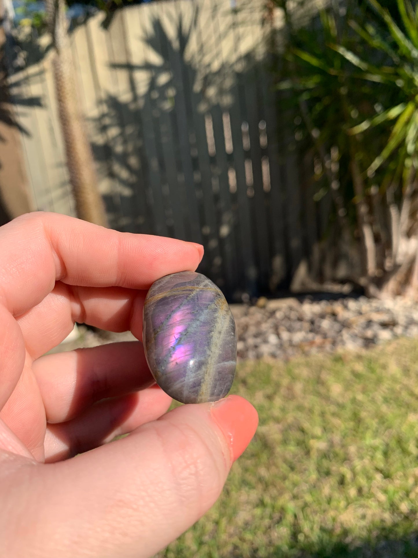 Labradorite Palmstone