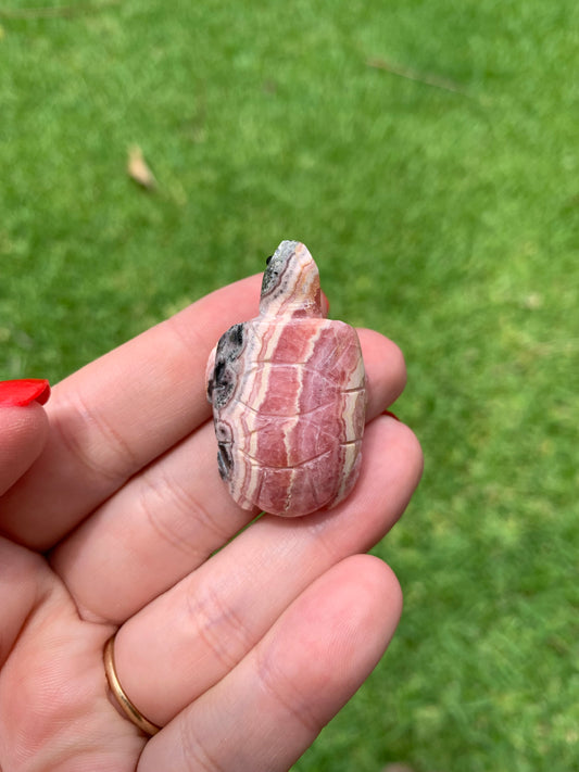 Rhodochrosite Turtle