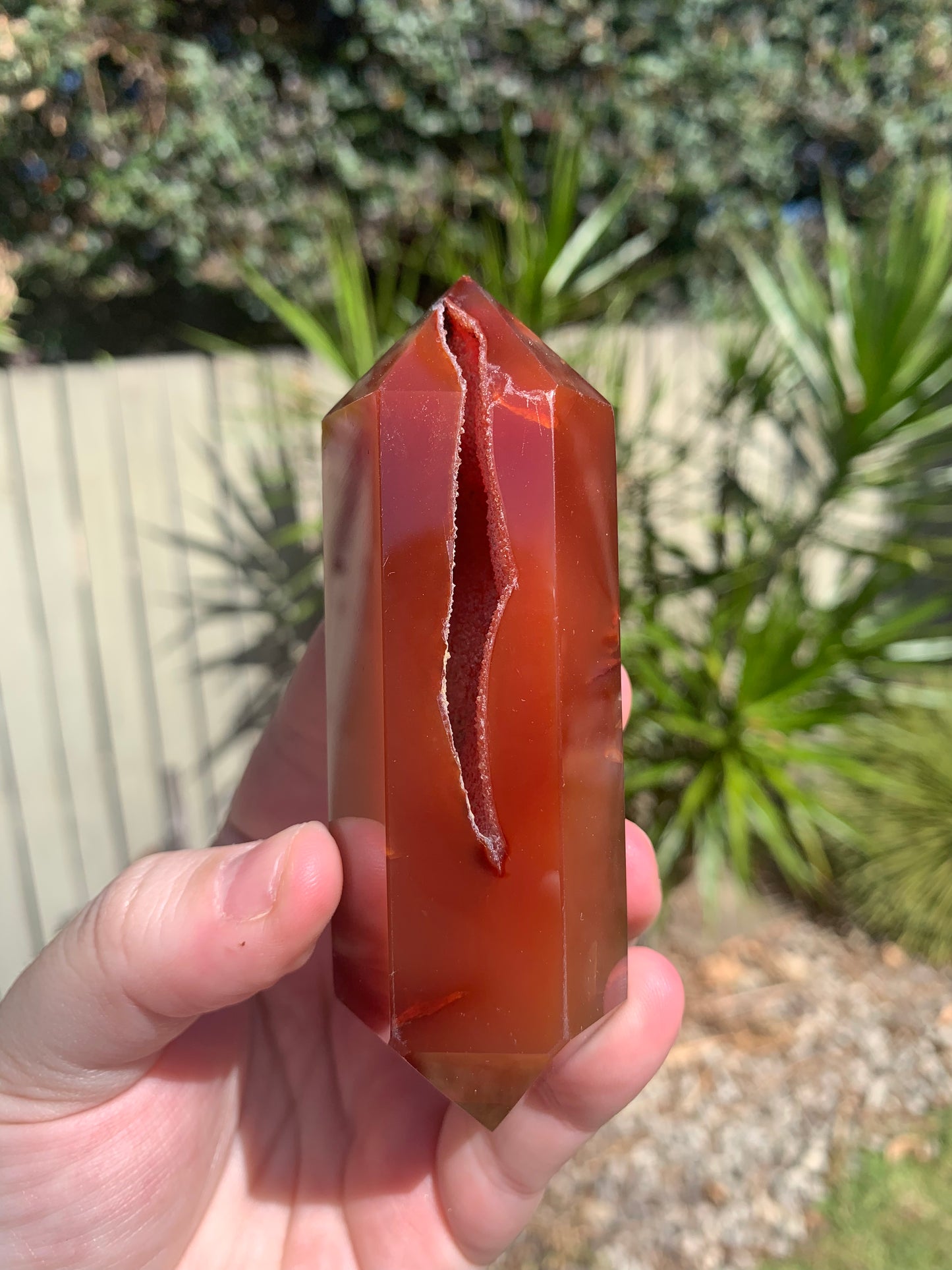 Carnelian DTs