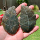 Moss Agate Leaf