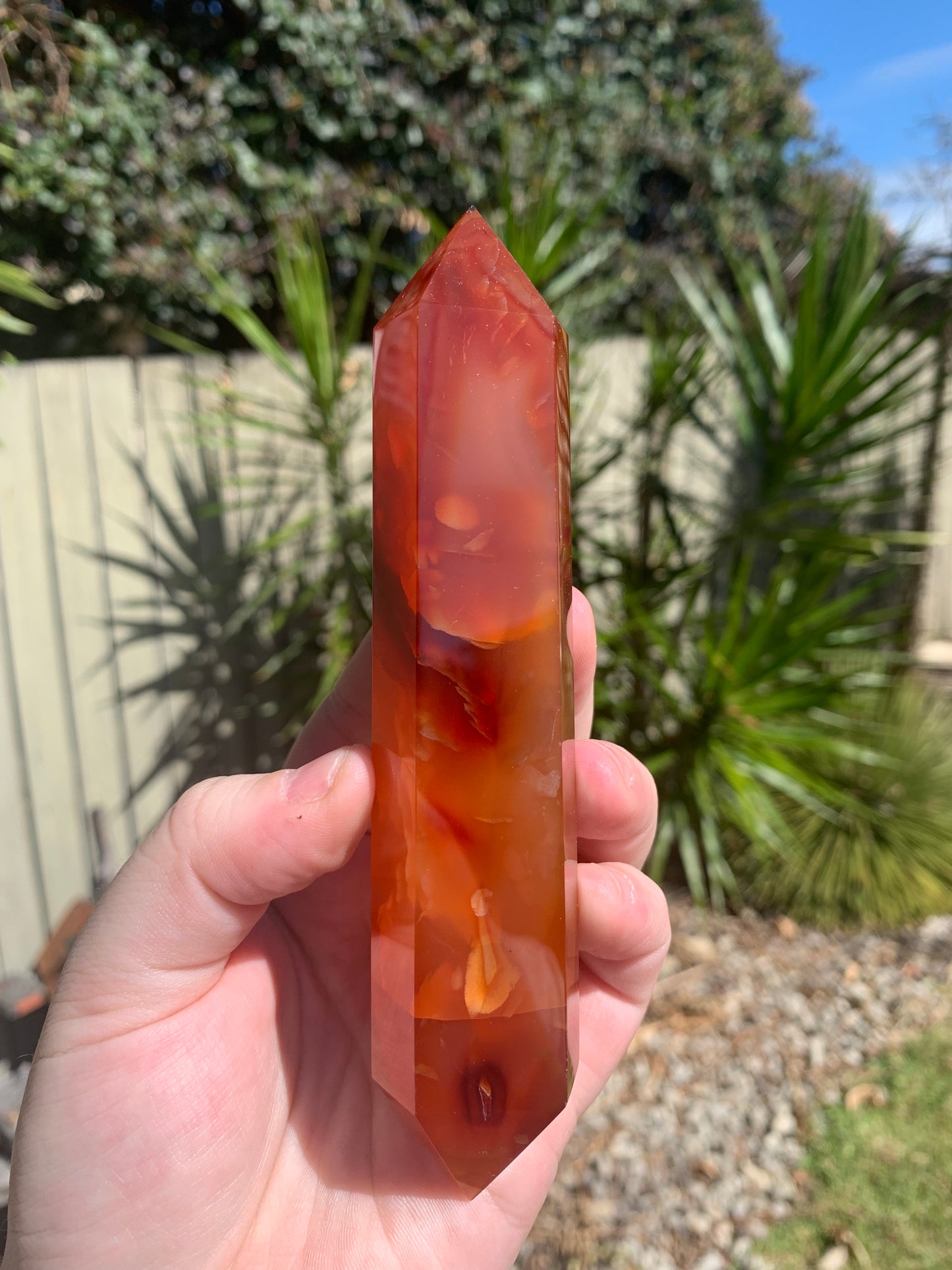 Carnelian DTs