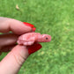 Gemmy Rhodochrosite Turtle