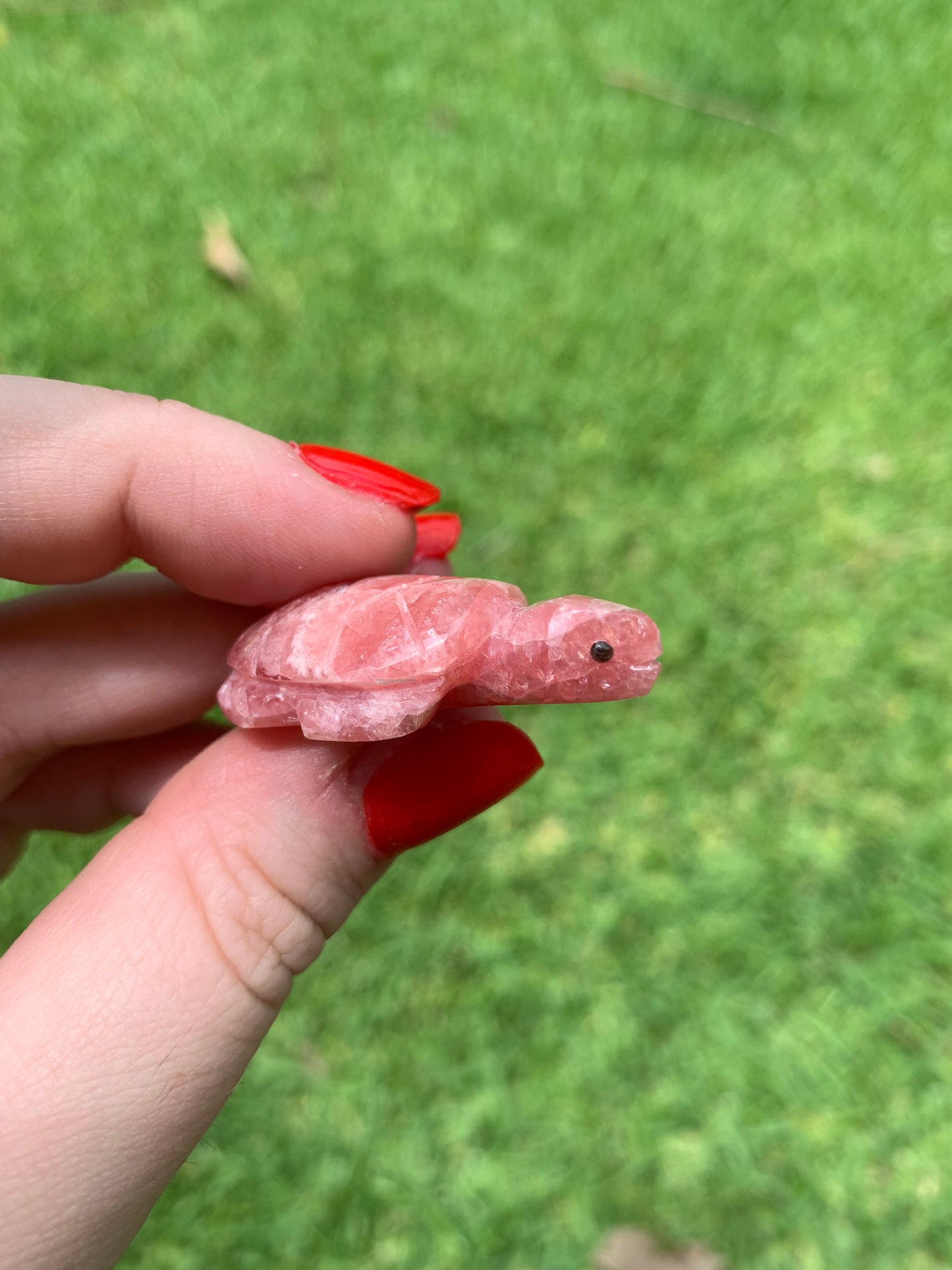 Gemmy Rhodochrosite Turtle