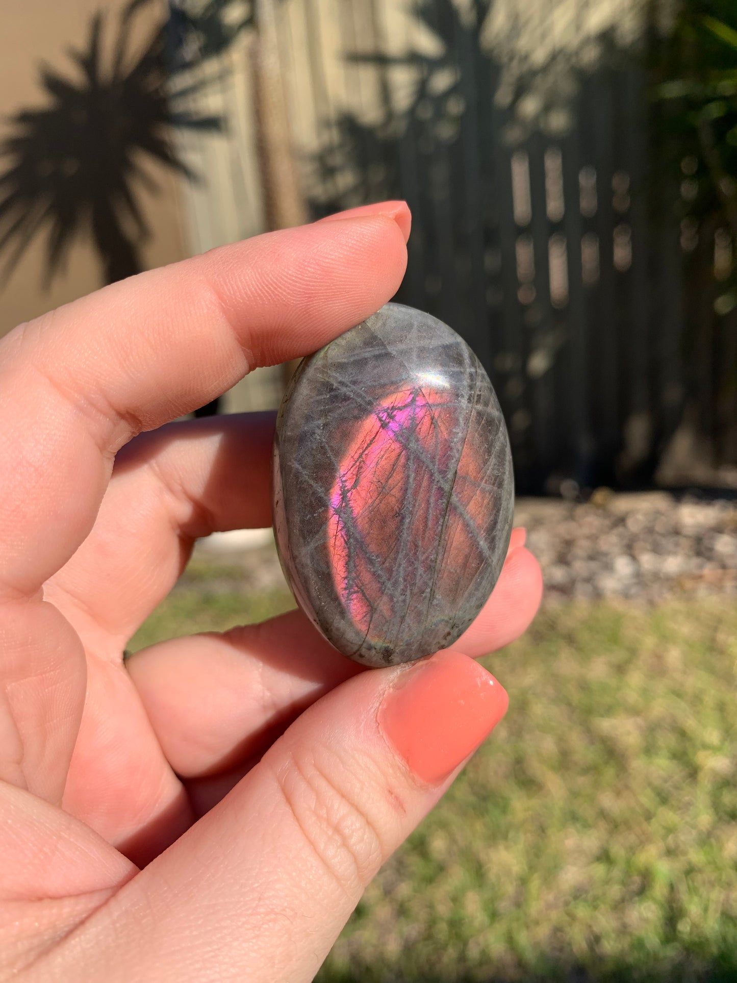 Labradorite Palmstone