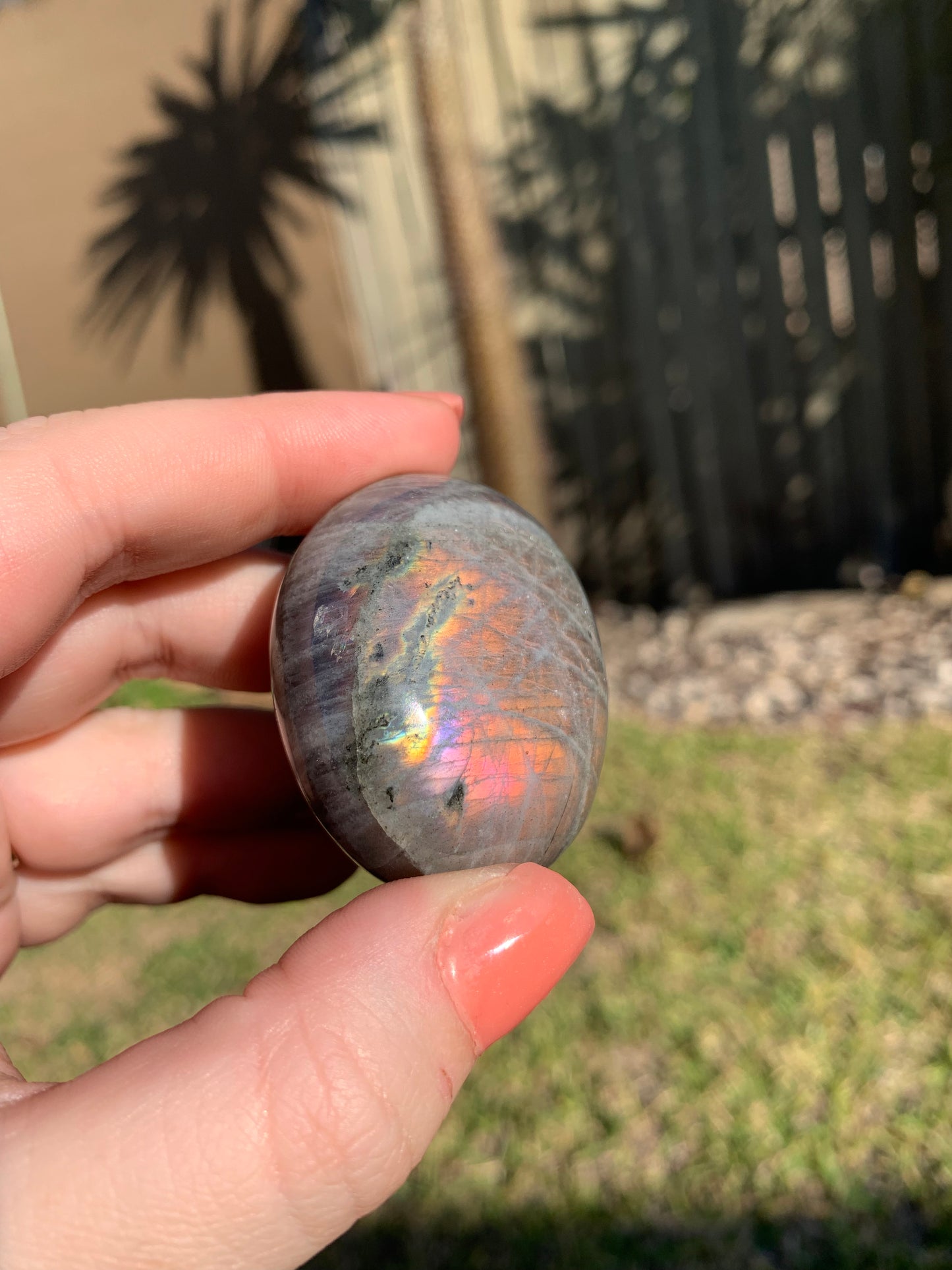 Labradorite Palmstone