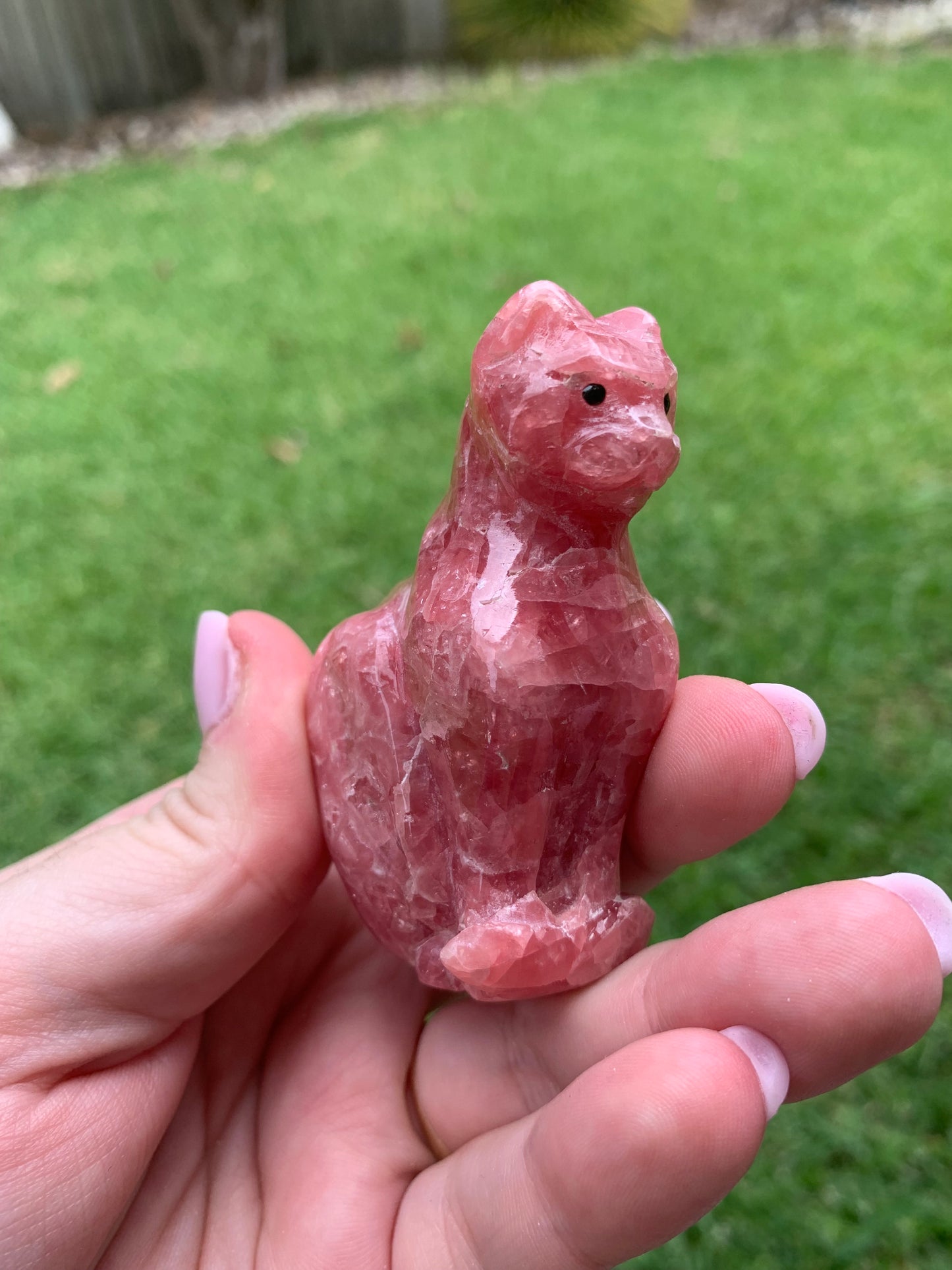 Gemmy Rhodochrosite Cat