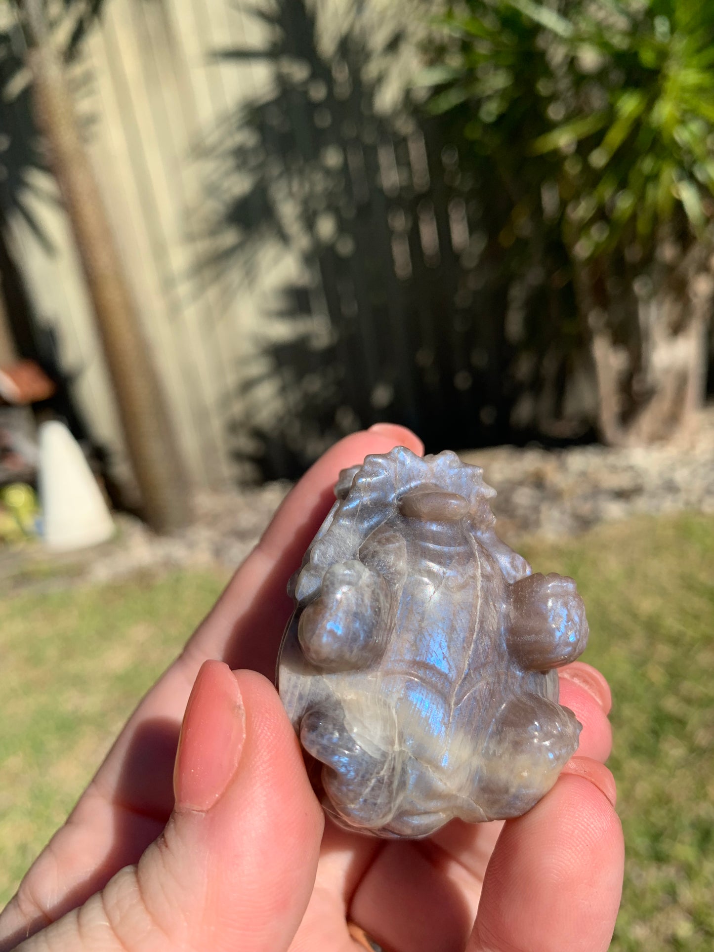 Sunstone Moonstone Turtle Dragon