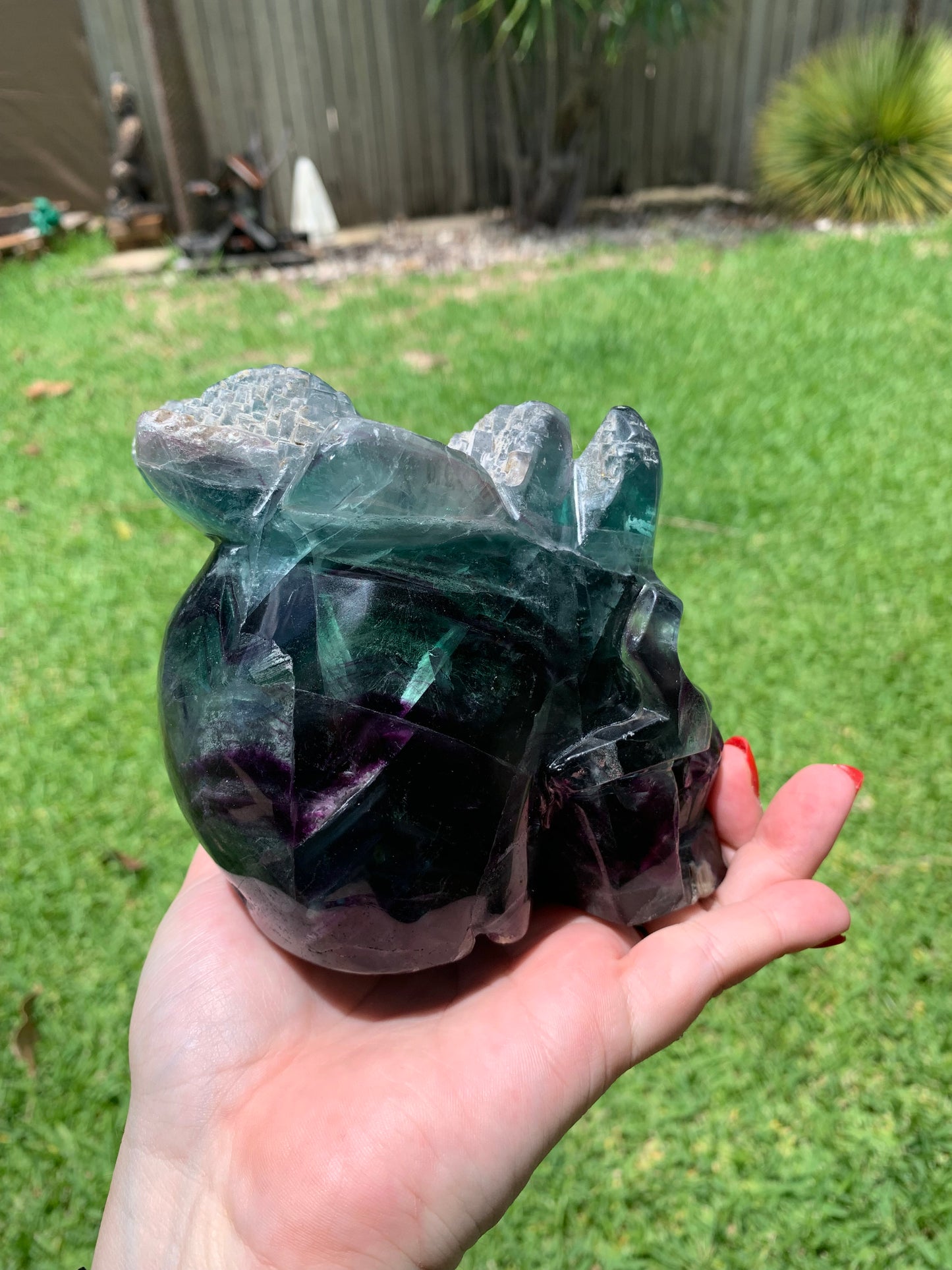 Fluorite Skull