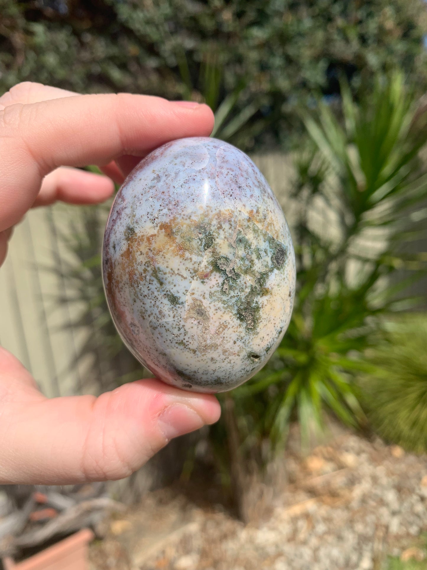 Ocean Jasper Palm