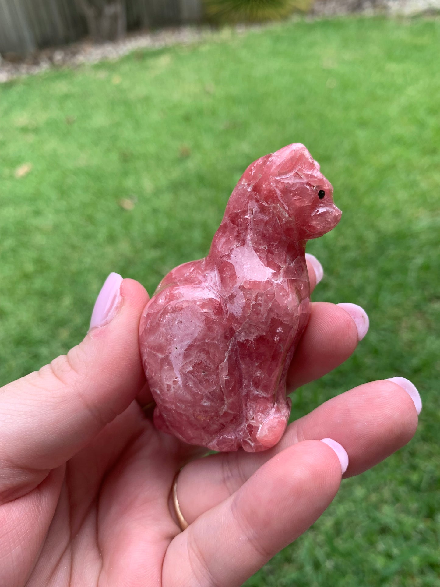 Gemmy Rhodochrosite Cat