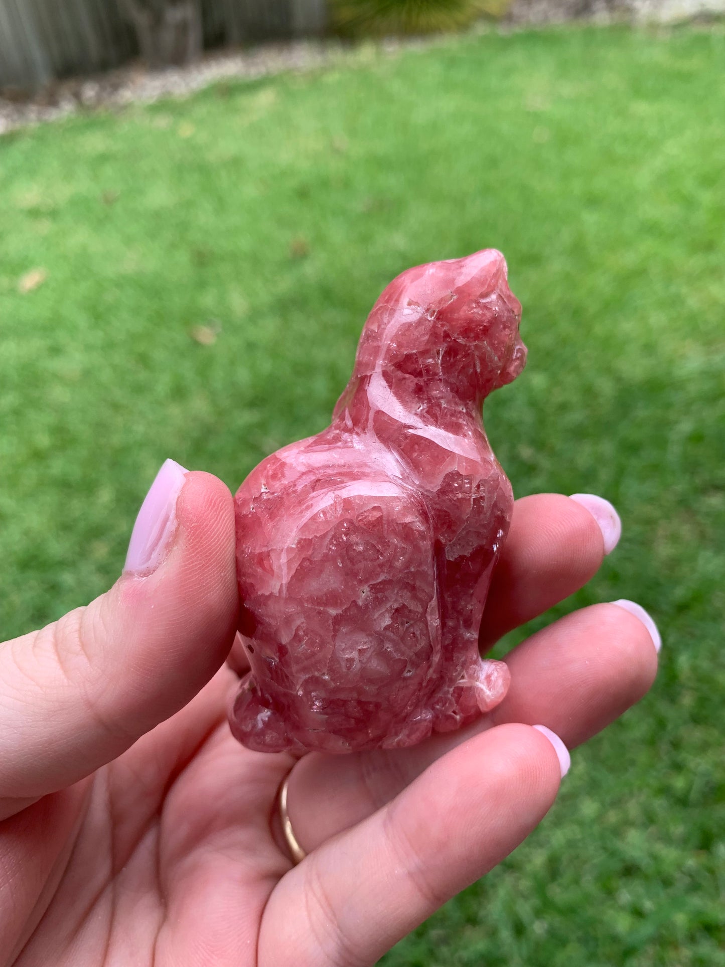 Gemmy Rhodochrosite Cat