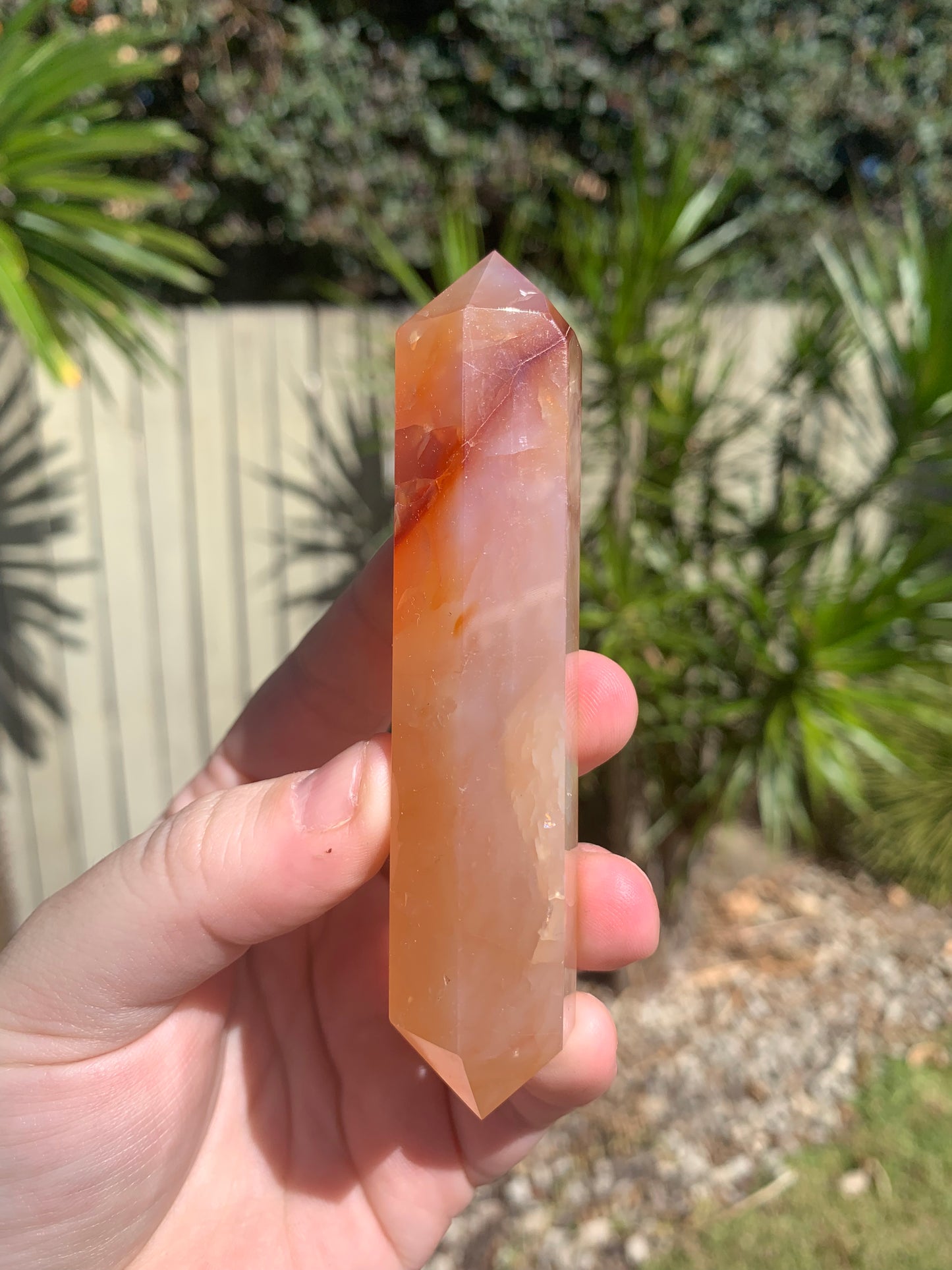 Carnelian DTs