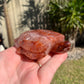 Fire Quartz Turtle