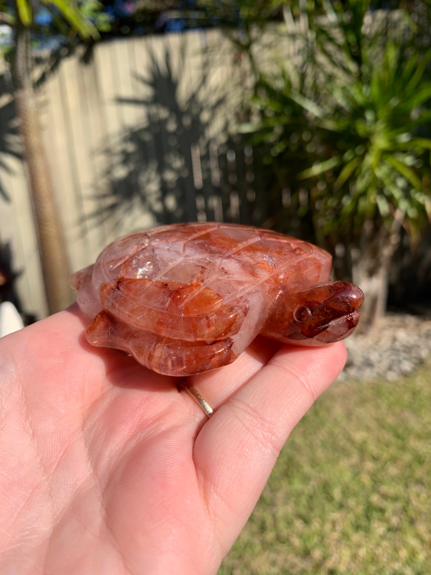 Fire Quartz Turtle