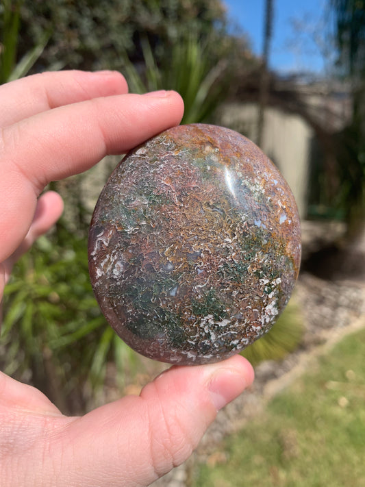 Ocean Jasper Palm