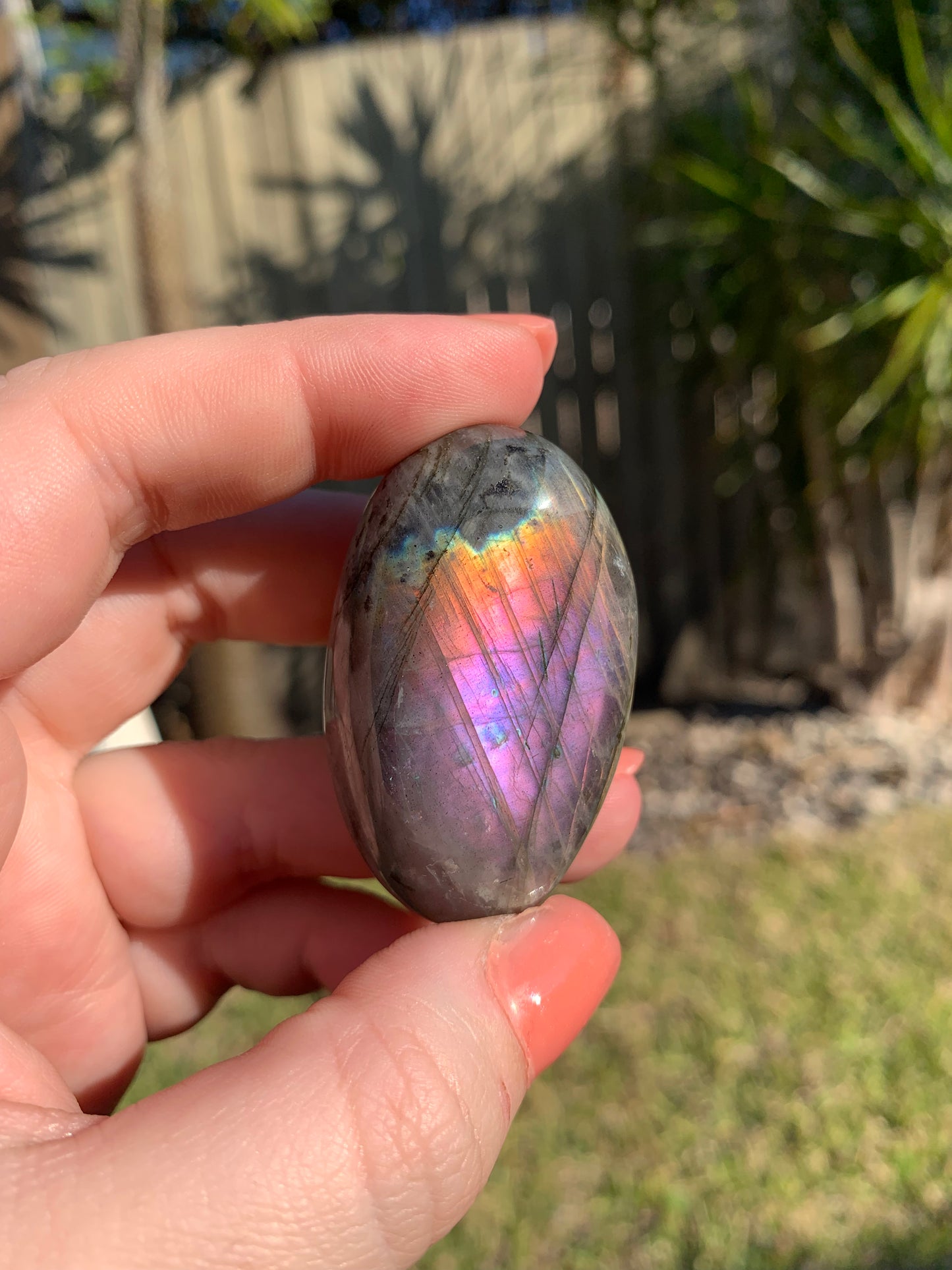 Labradorite Palmstone