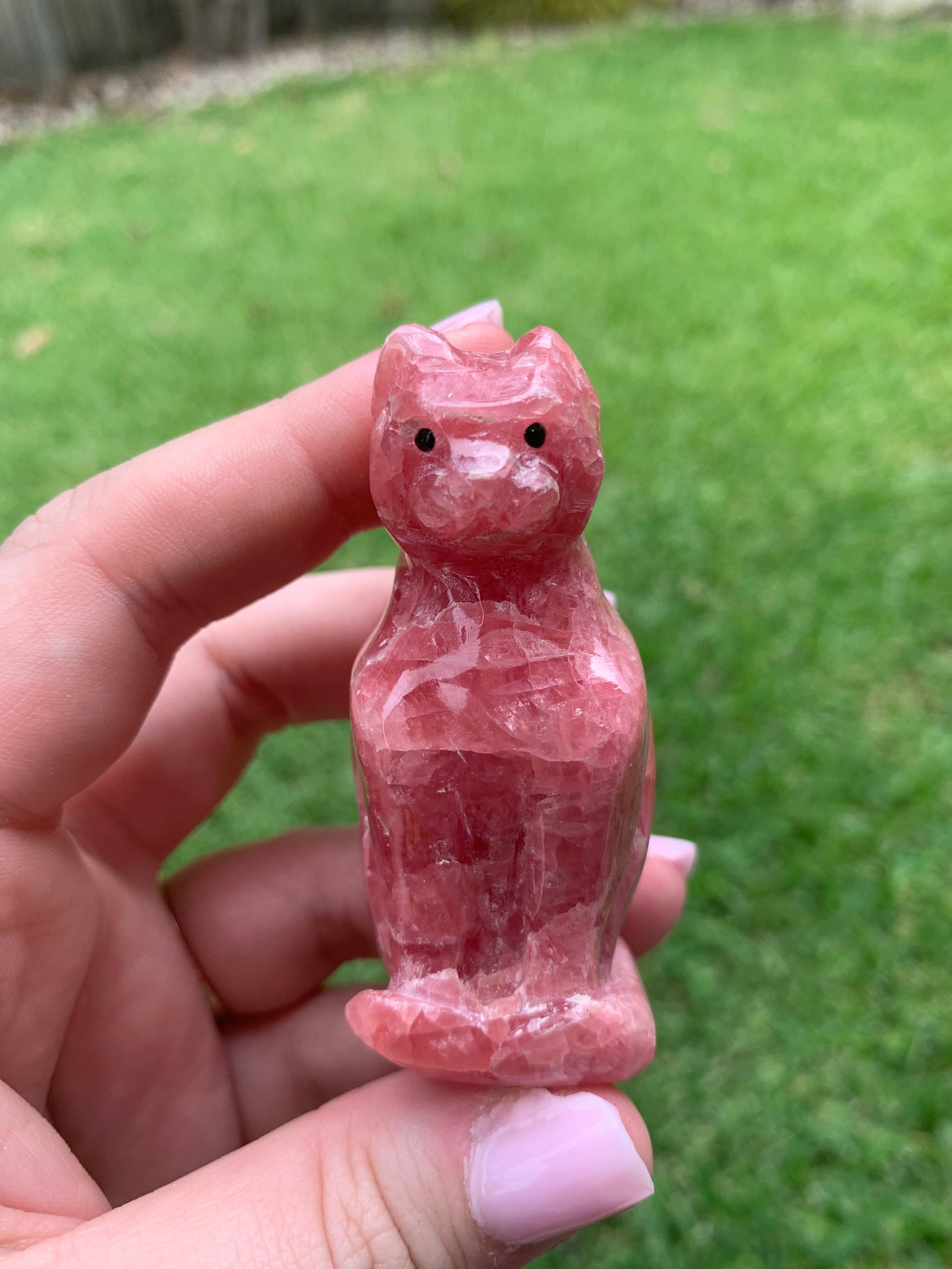 Gemmy Rhodochrosite Cat