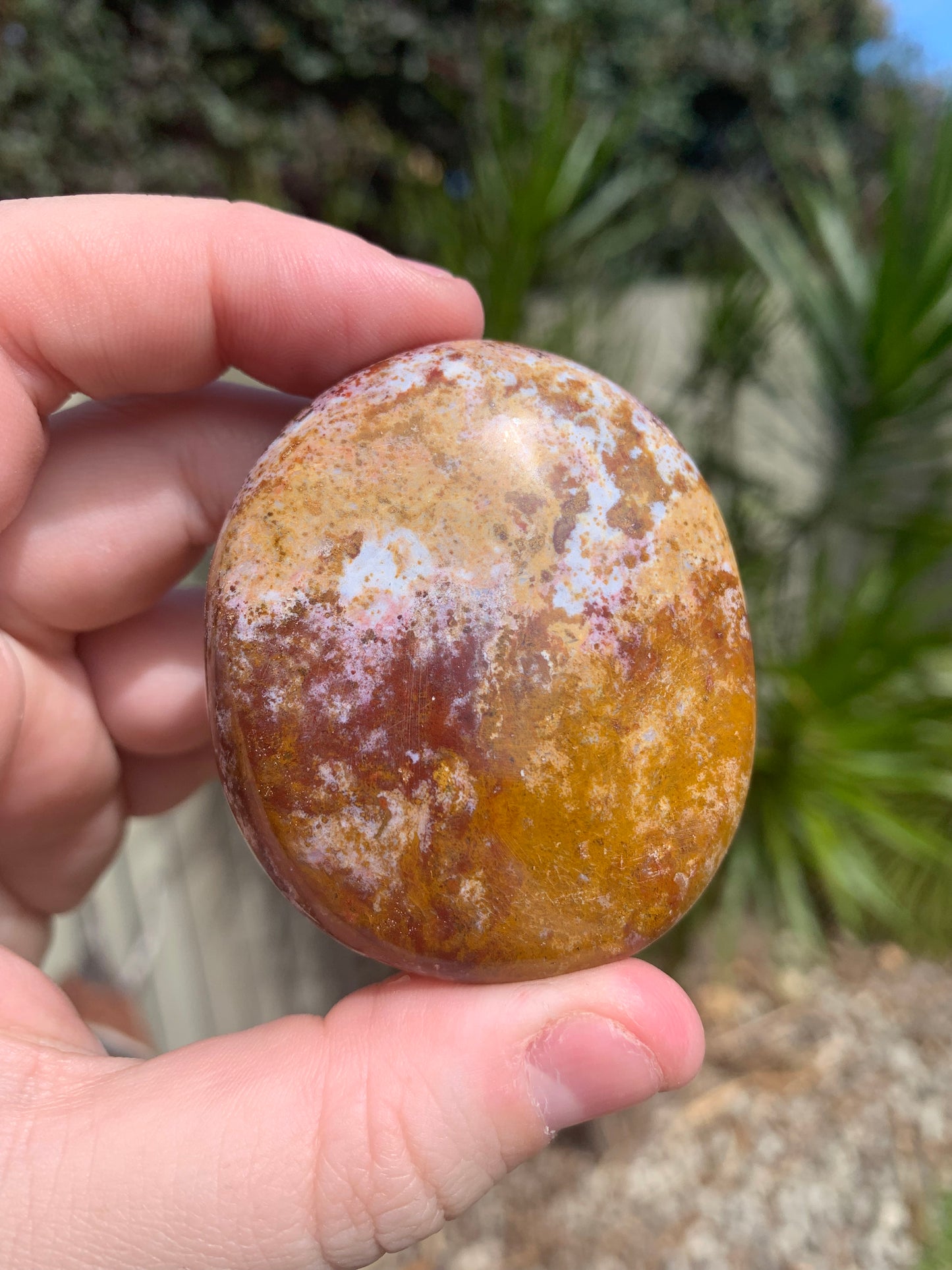 Ocean Jasper Palm