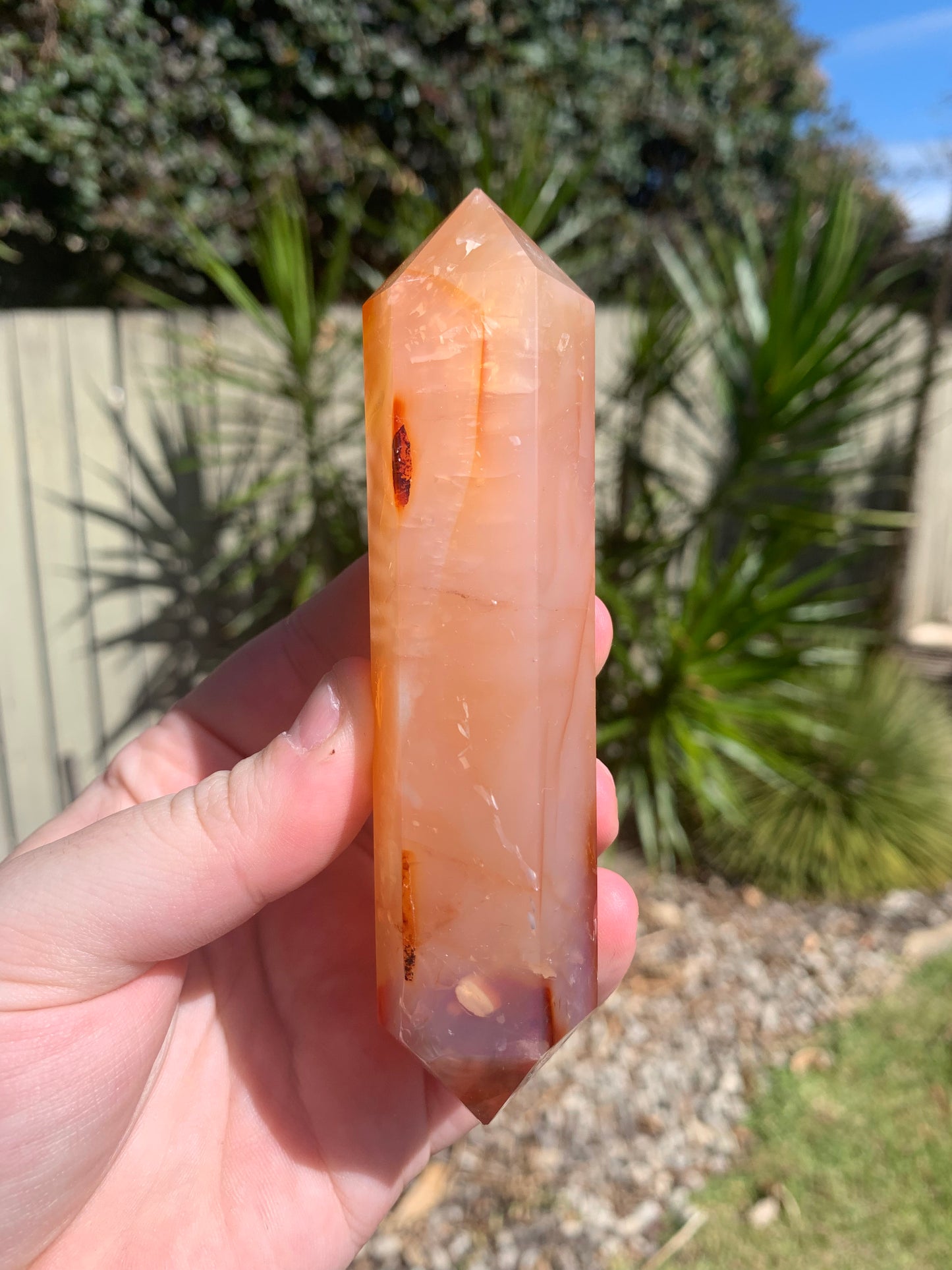 Carnelian DTs